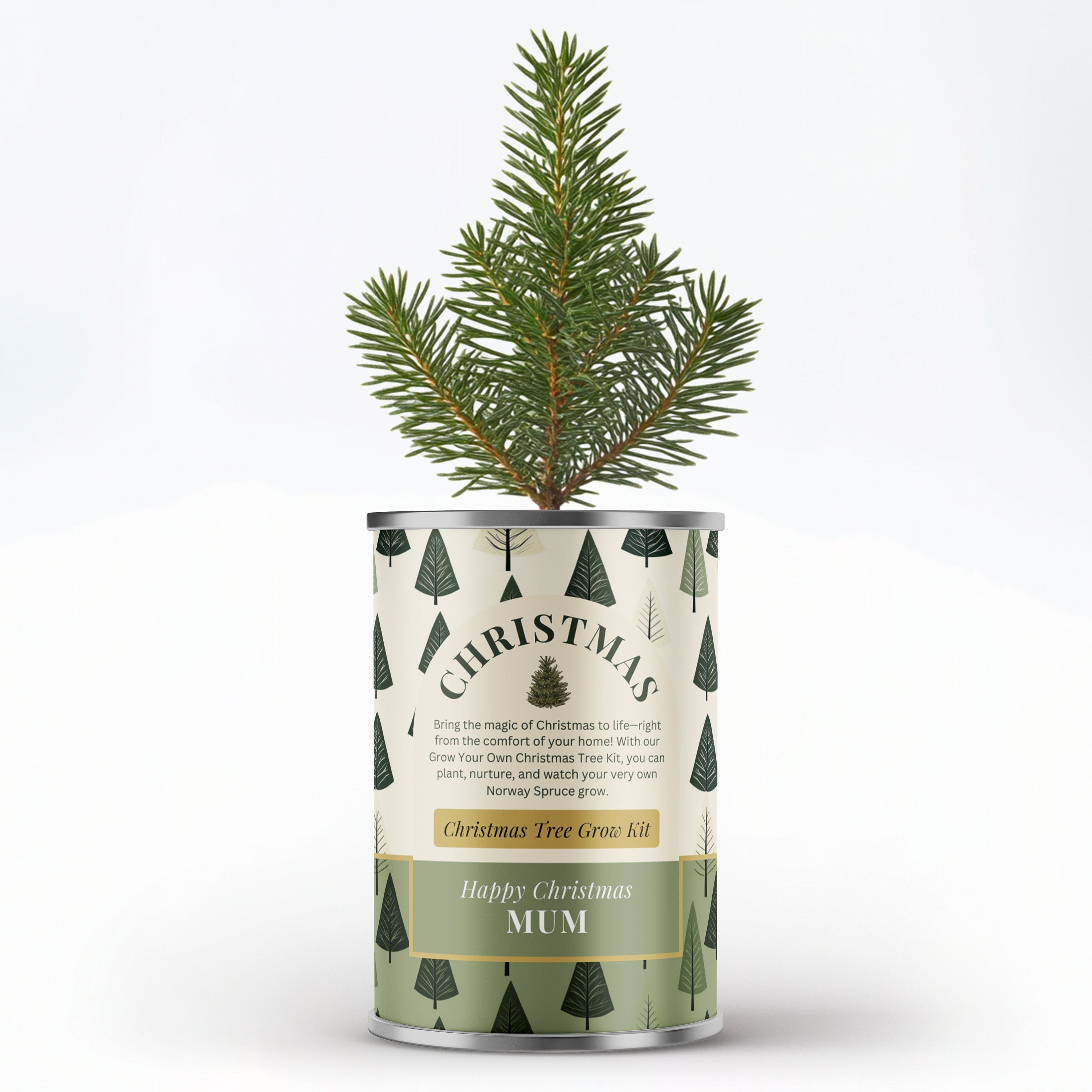 Grow Your Own Christmas Tree Tin - Secret Santa Gift | Personalise Me