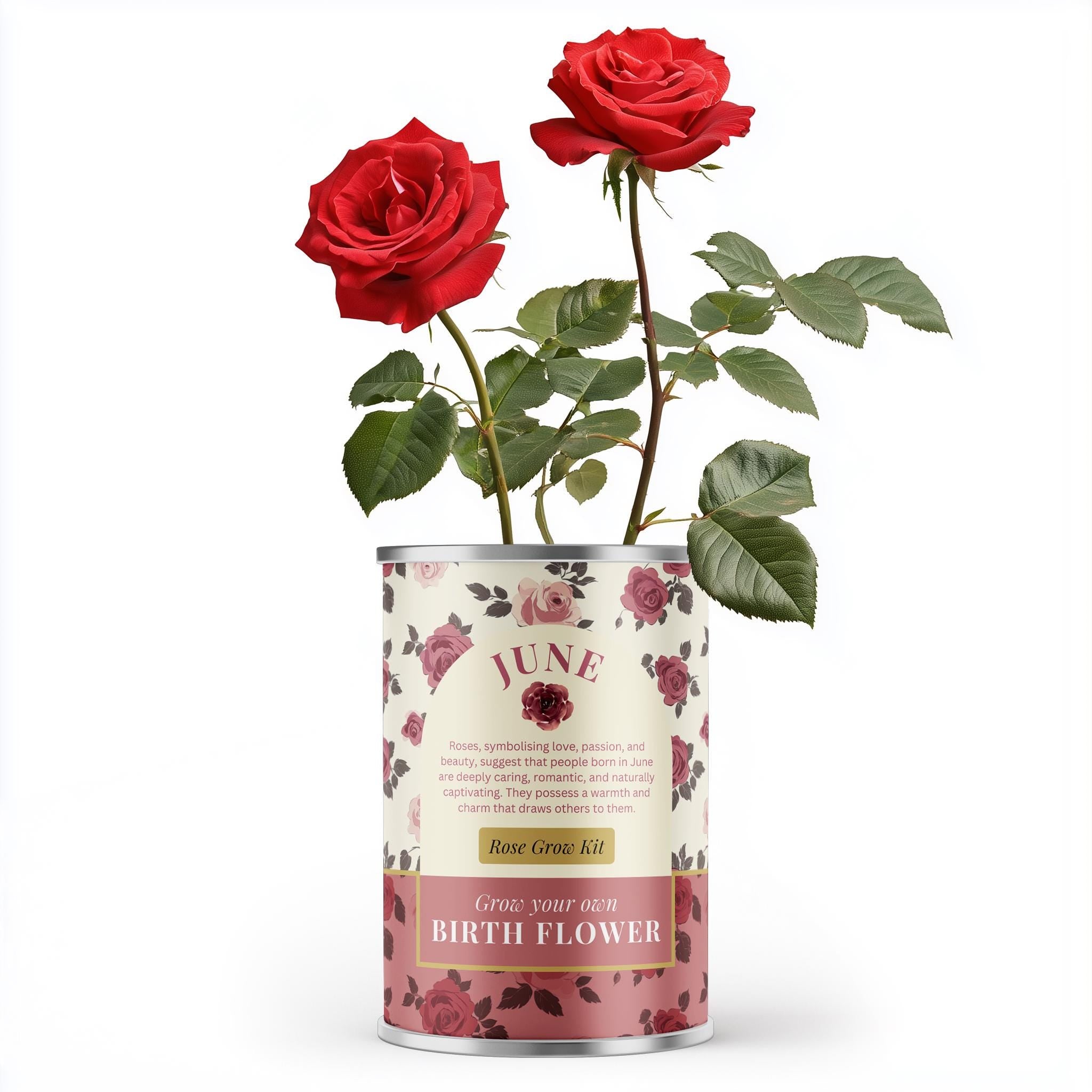 June Birth Flower - Personalised Grow Your Own Flower Gift