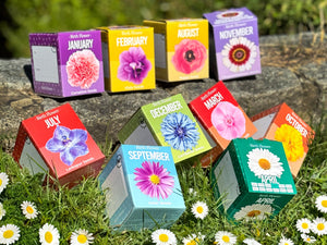 Grow Your Own Birth Flower Personalised Name Gift