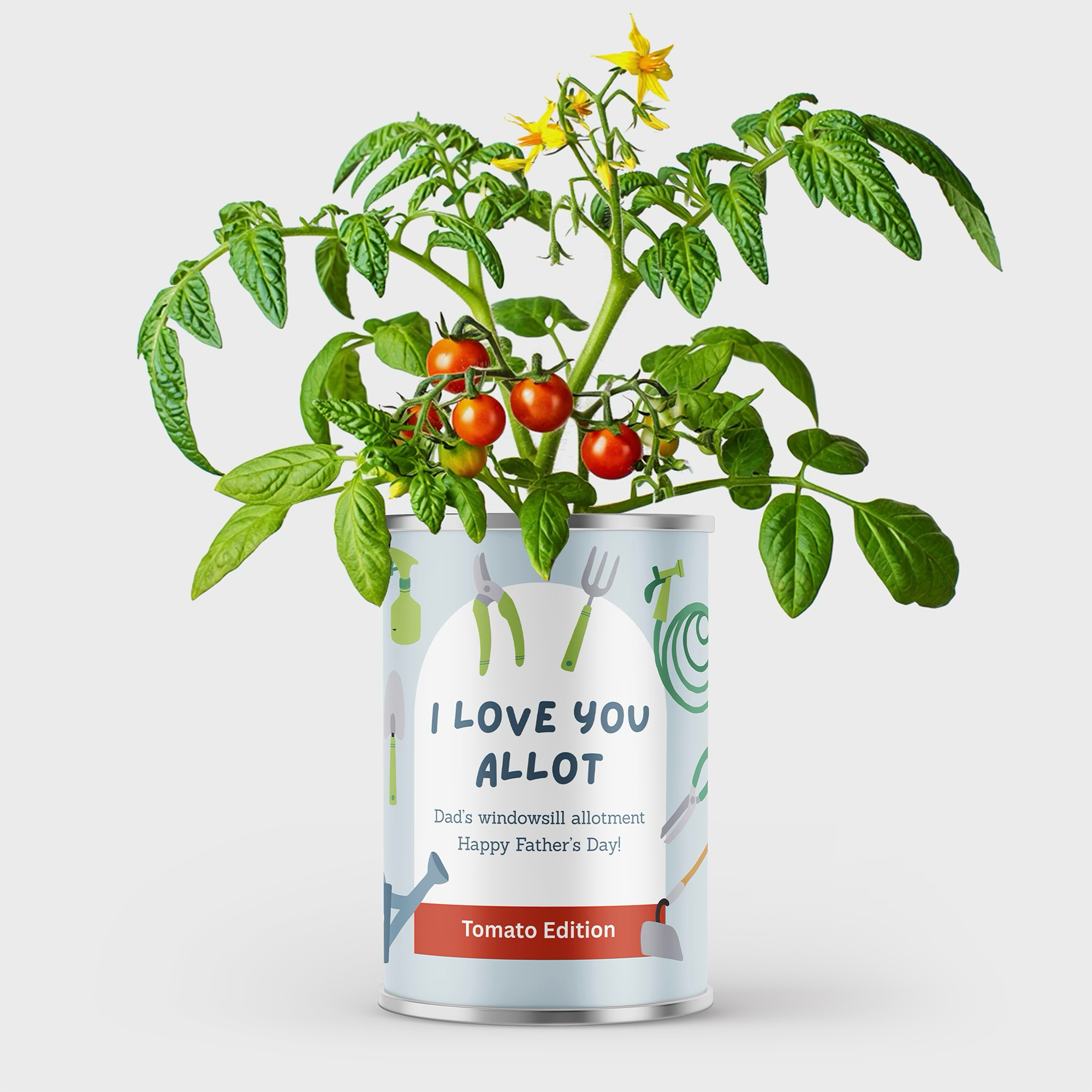 Personalised Grow Your Own Allotment Vegetables in a Tin