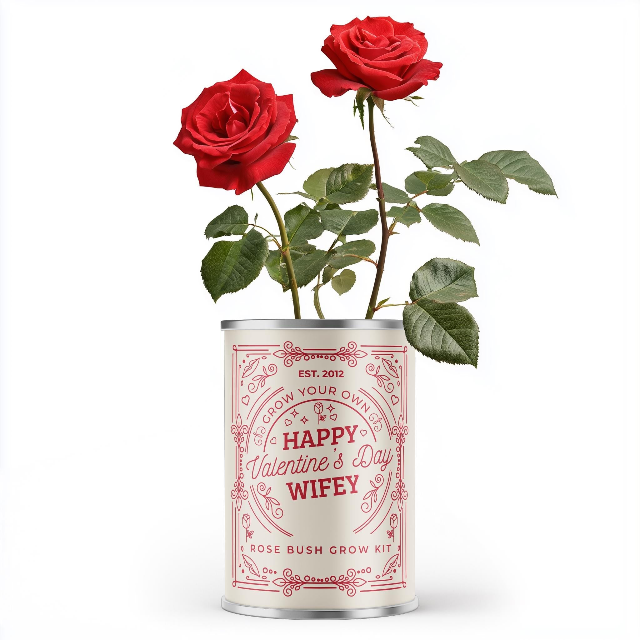valentines gift