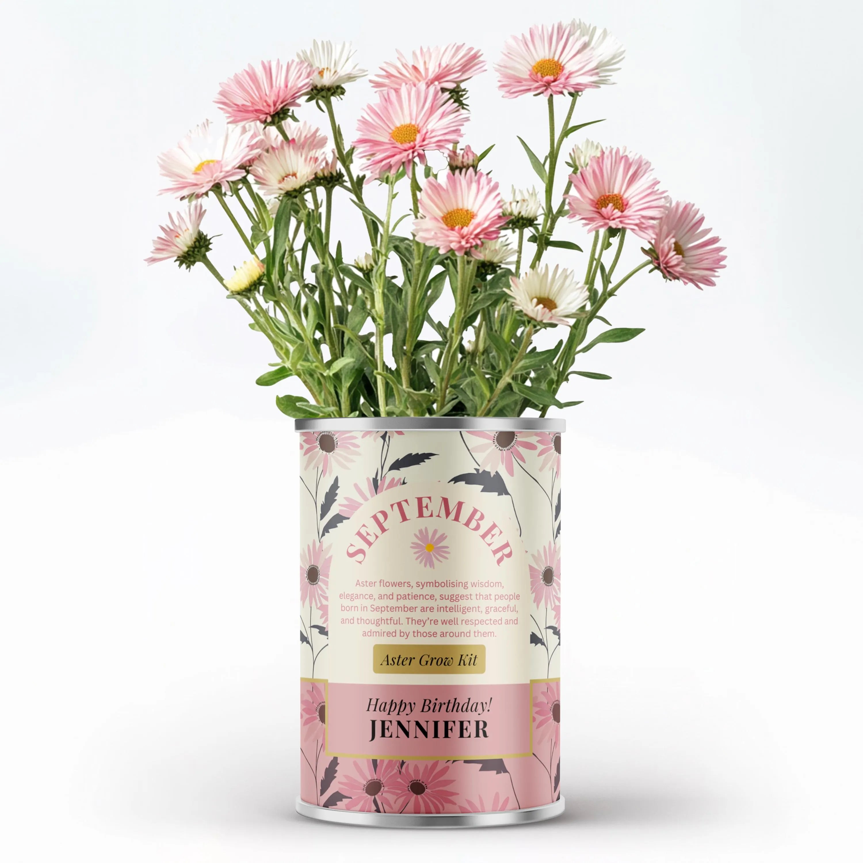 September Birth Flower - Personalised Grow Your Own Flower Gift