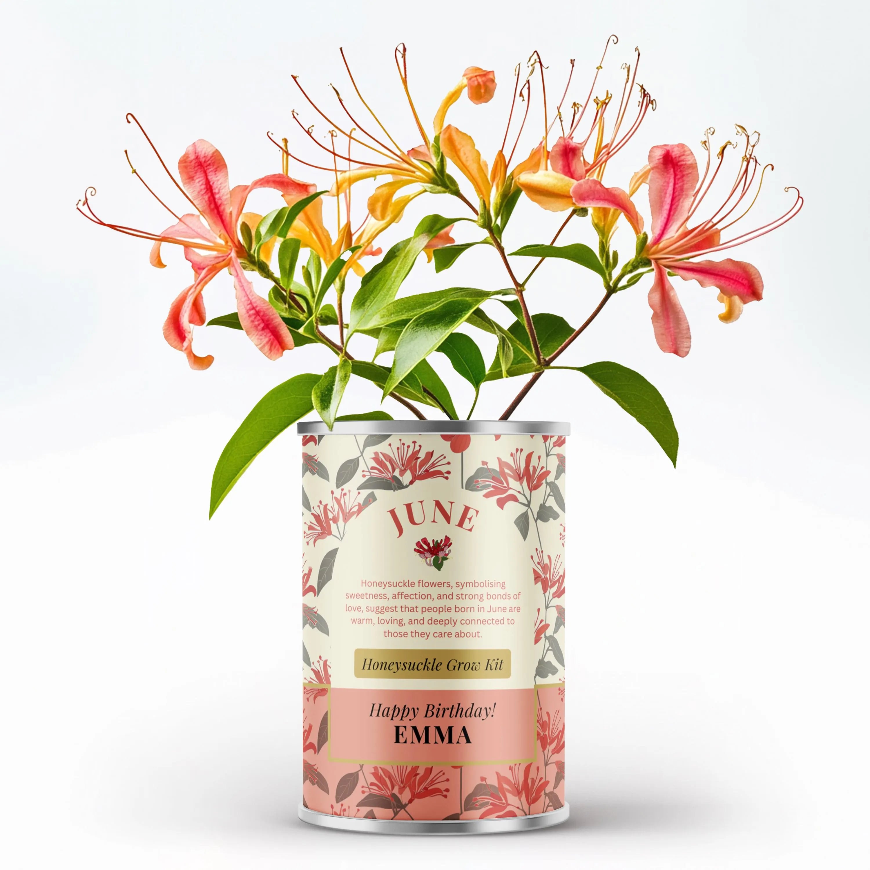 June Birth Flower - Personalised Grow Your Own Flower Gift