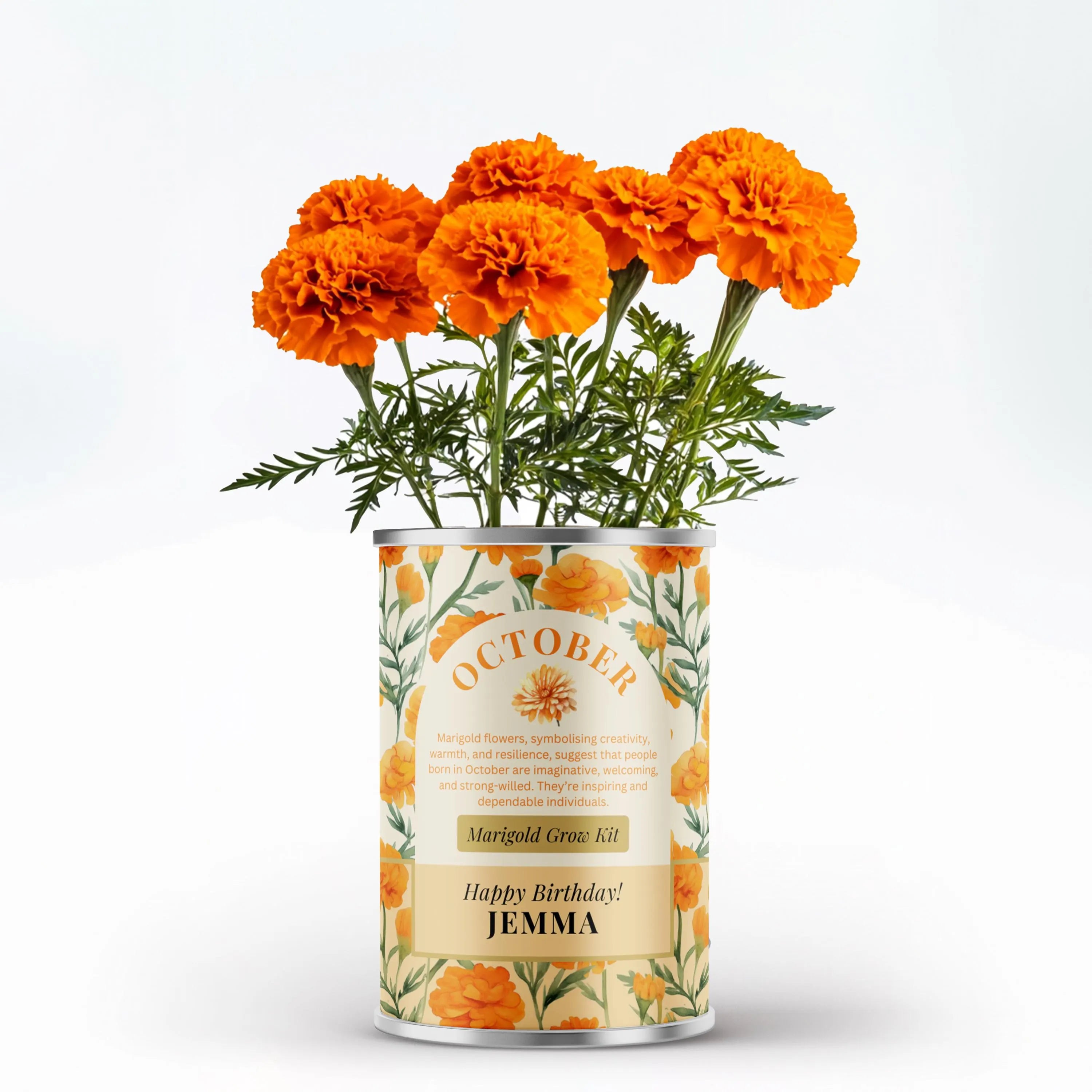 October Birth Flower - Personalised Grow Your Own Flower Gift