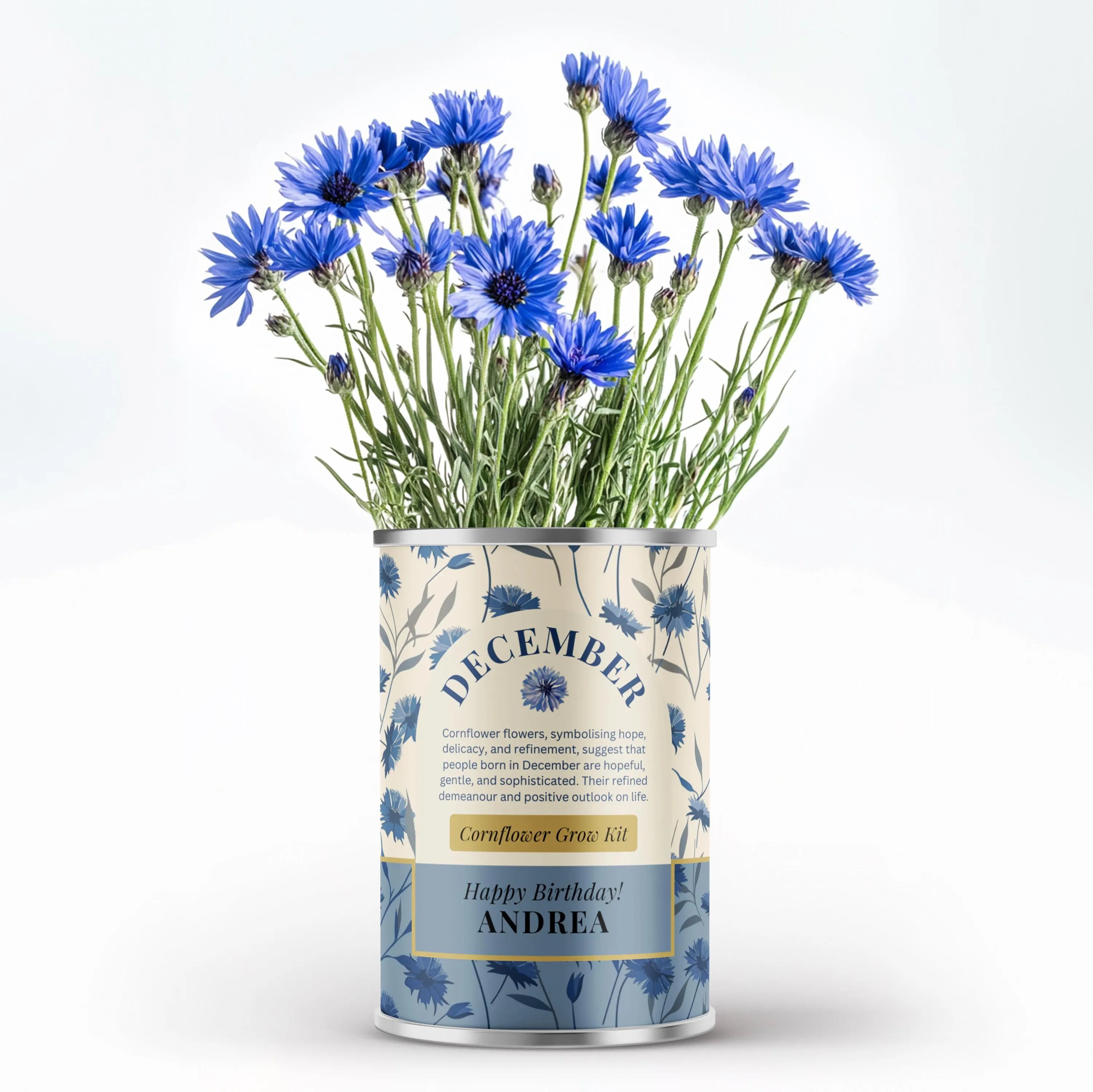 December Birth Flower - Personalised Grow Your Own Flower Gift
