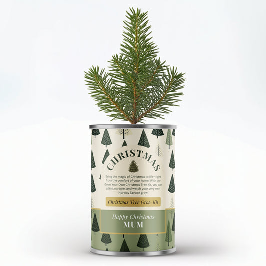 Grow Your Own Christmas Tree Tin - Secret Santa Gift | Personalise Me