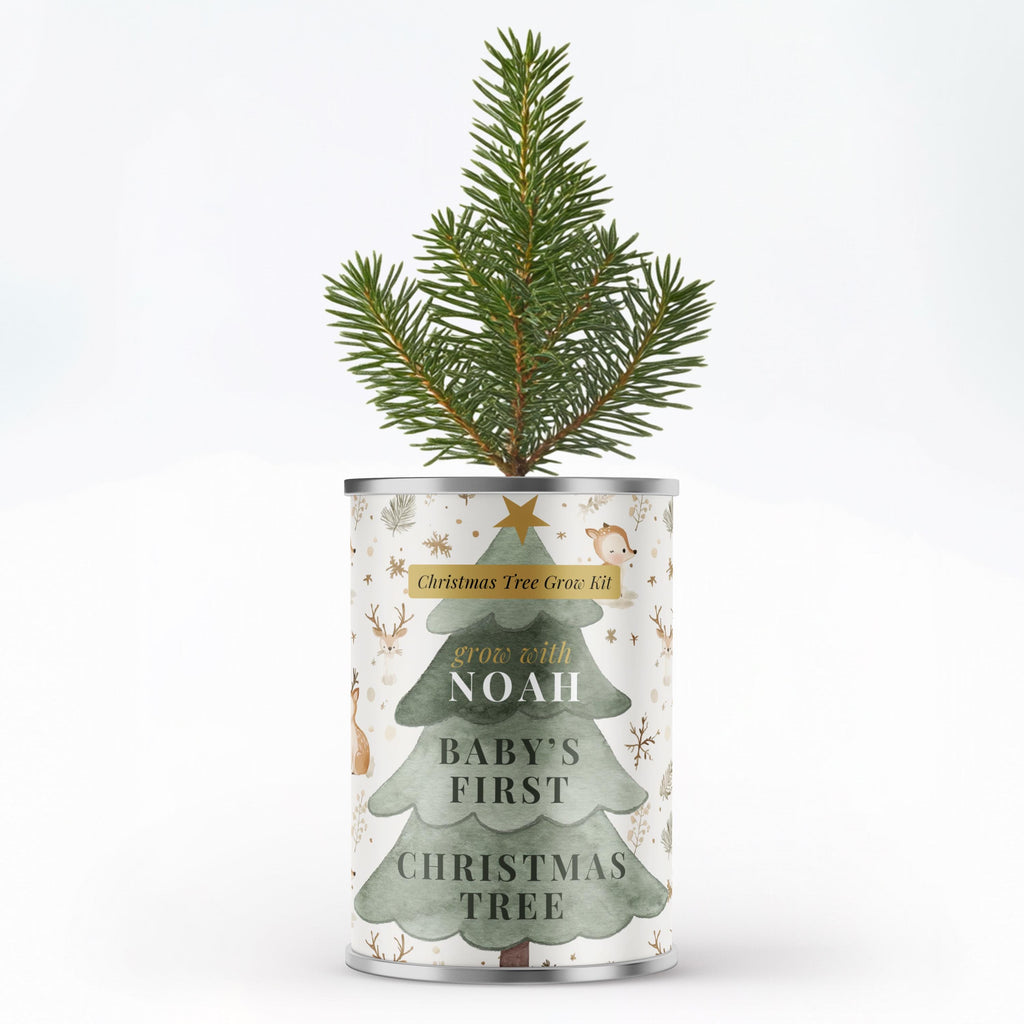 Personalised Baby's First Christmas Tree - Grow Your Own Tree Tin | Secret Santa Gift