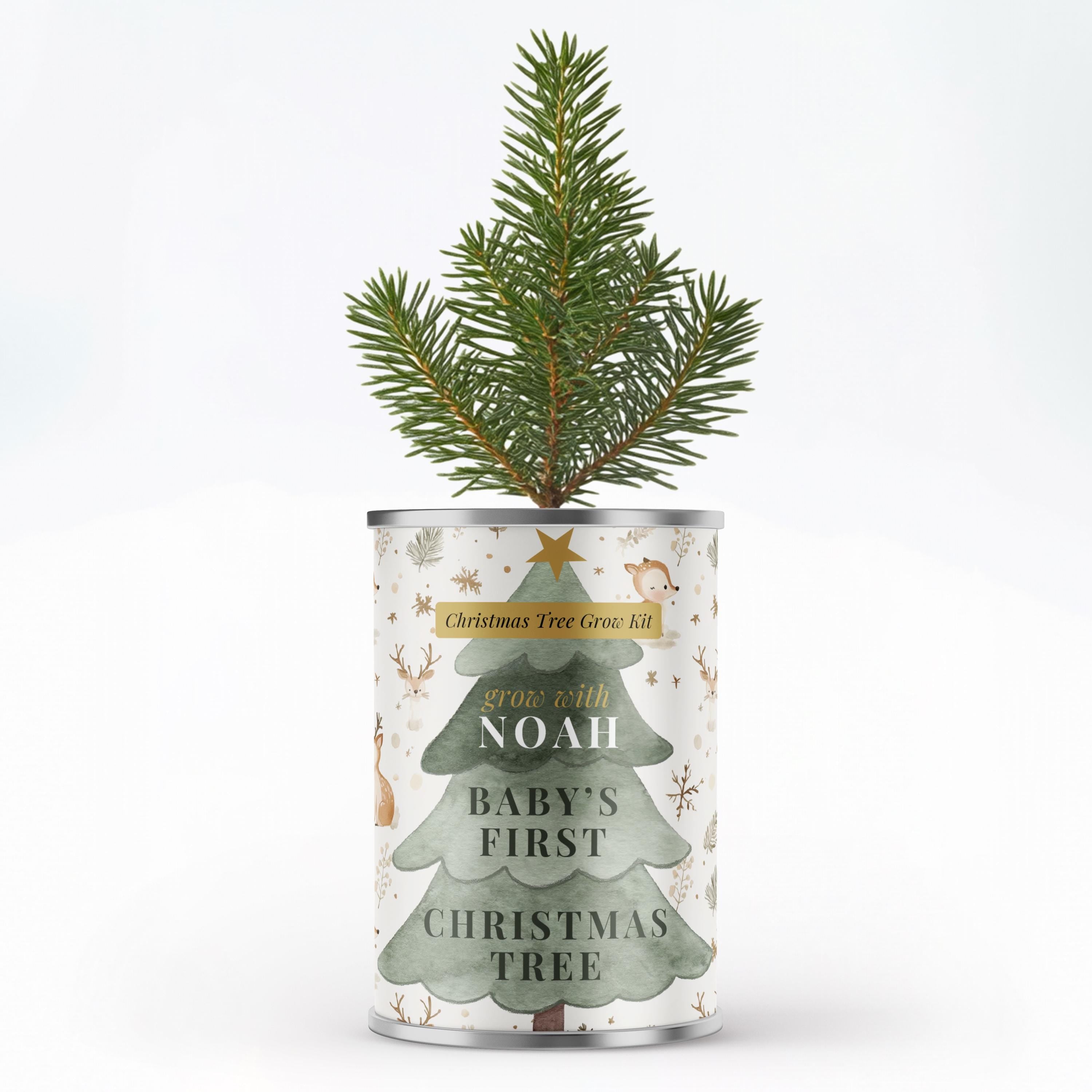 Personalised Baby's First Christmas Tree - Grow Your Own Tree Tin | Secret Santa Gift