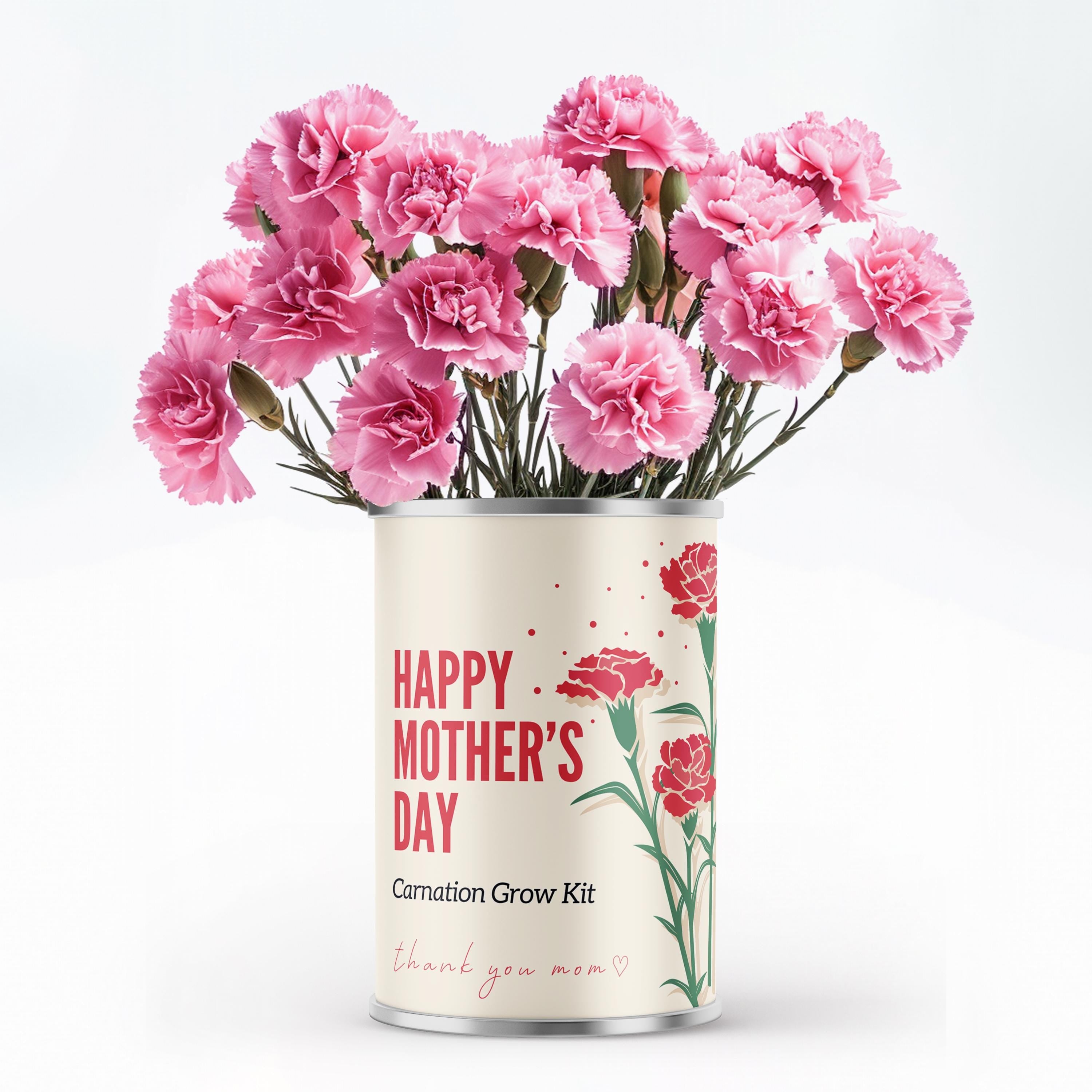 Personalised Grow Your Own Carnation Mother's Day Gift Tin Main image