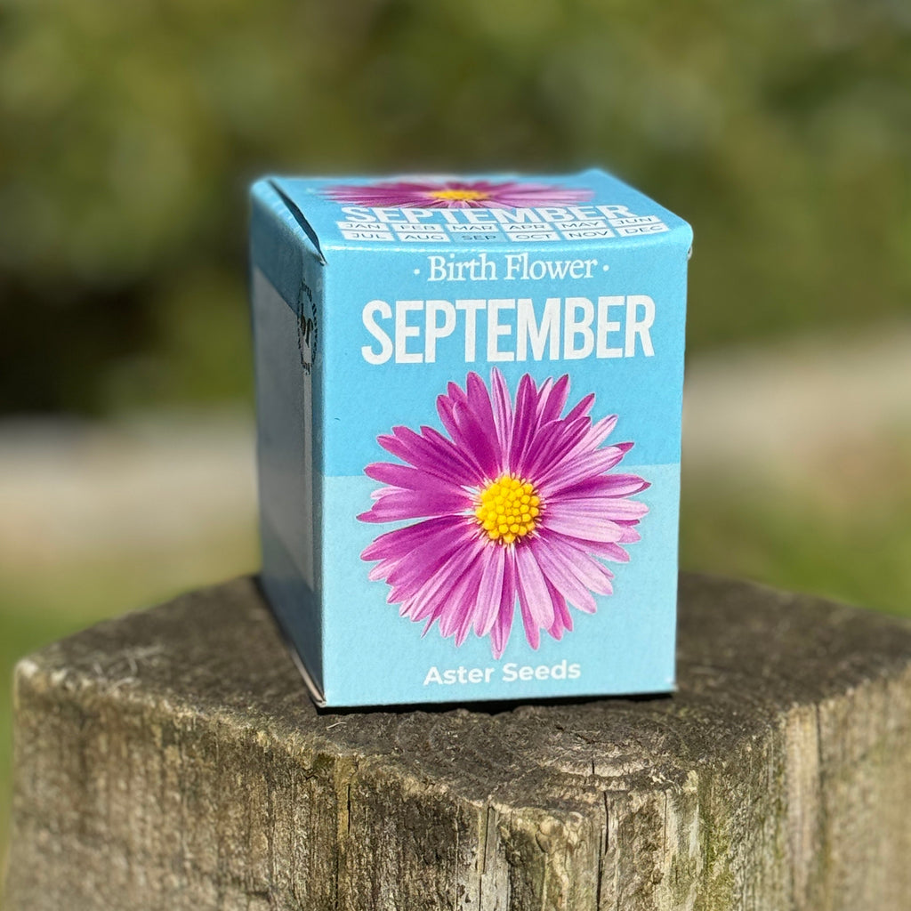 Grow Your Own Birth Flower Gift - Zodiac Gift | Gift for Mum | Gift for Grandma | Personalise Me