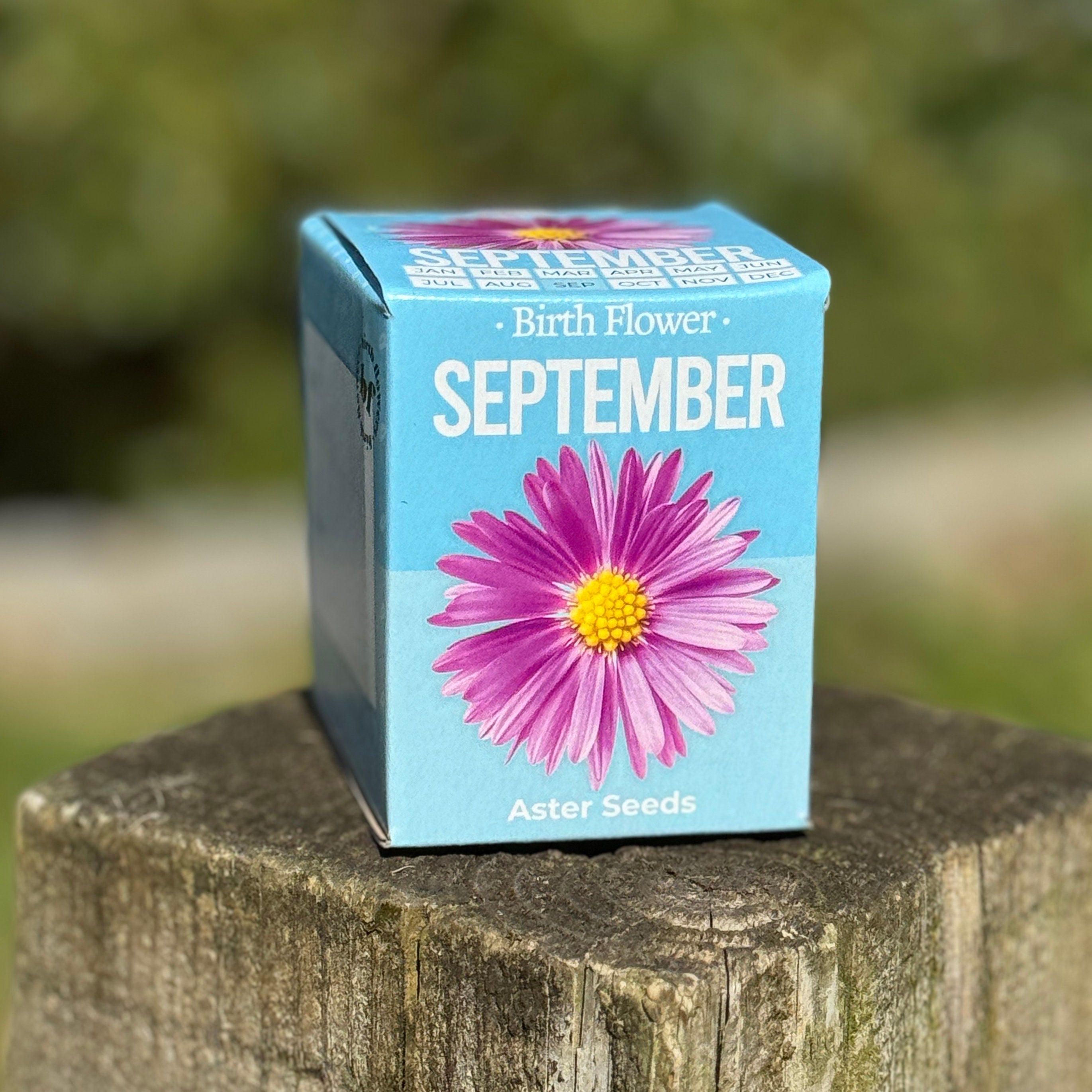 Grow Your Own Birth Flower Gift - Zodiac Gift | Gift for Mum | Gift for Grandma | Personalise Me
