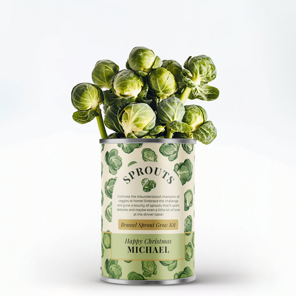 Personalised Grow Your Own Brussel Sprouts Tin - Secret Santa Gift | Christmas Gift