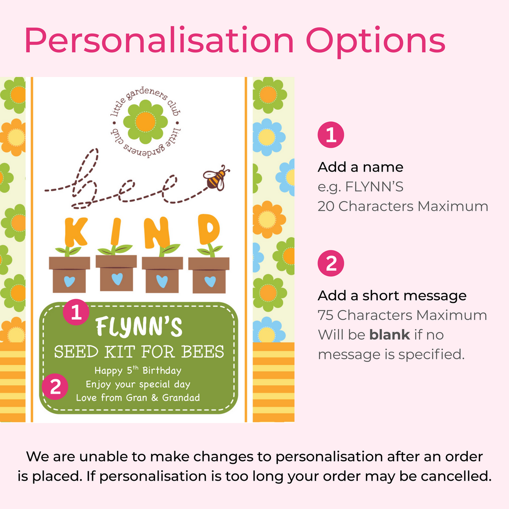 Personalised Bee Kind Tin - Seed Kit for Bees | Gift for Young Gardeners | Birthday Gift