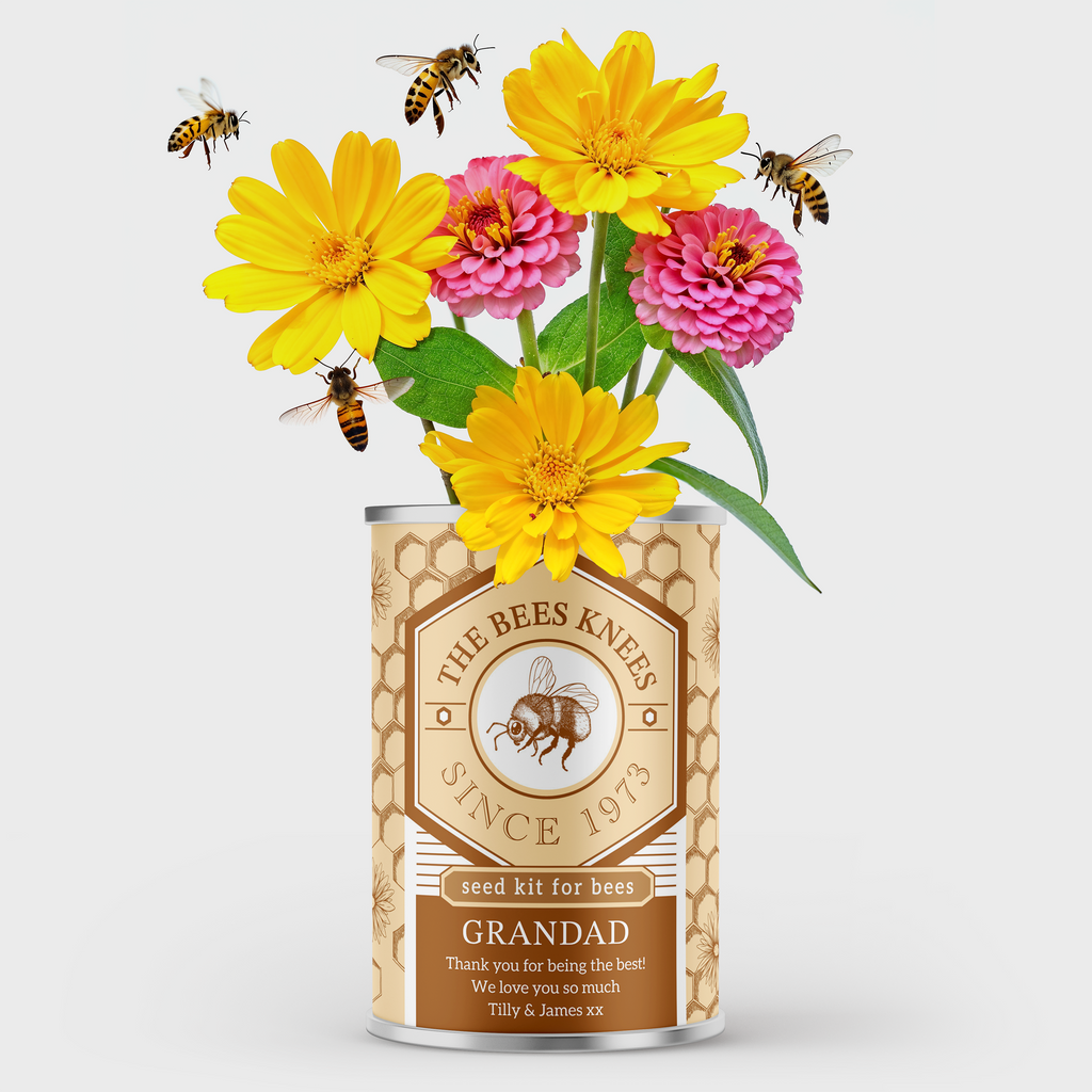 Personalised Bees Knees Tin - Seed Kit for Bees | Gift for Grandad | Birthday Gift