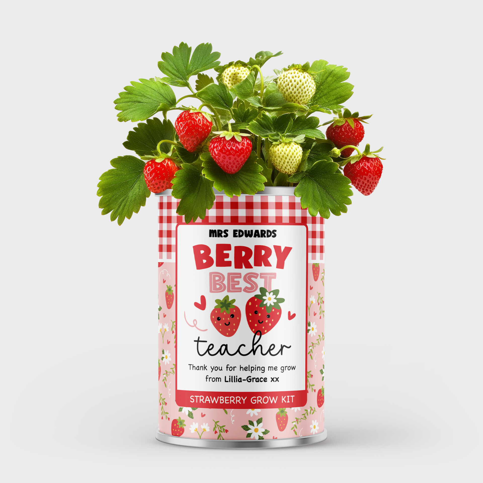 Personalised Teacher Gift - Grow Your Own Strawberries
