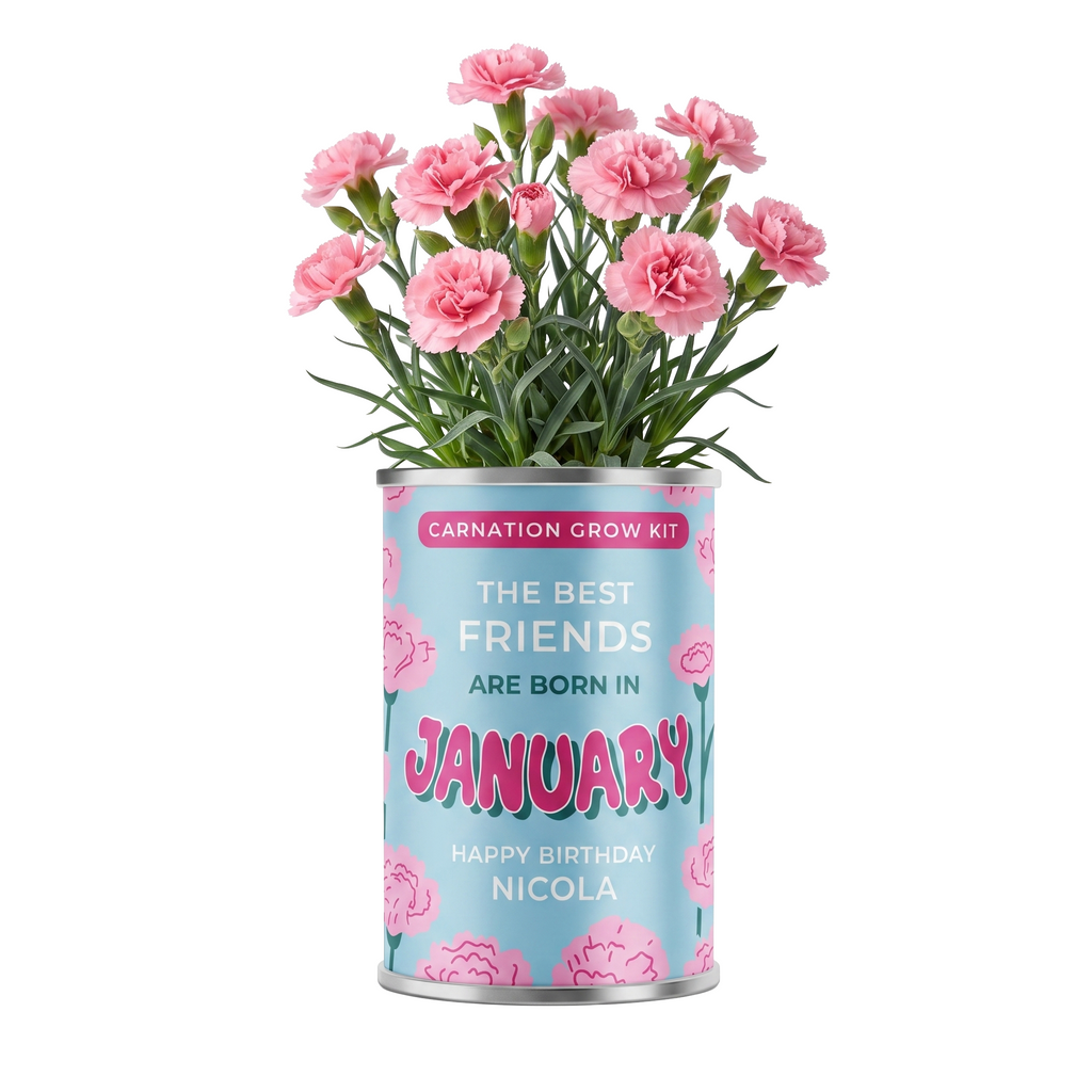 January Birth Flower Grow Your Own Carnation Flower Gift