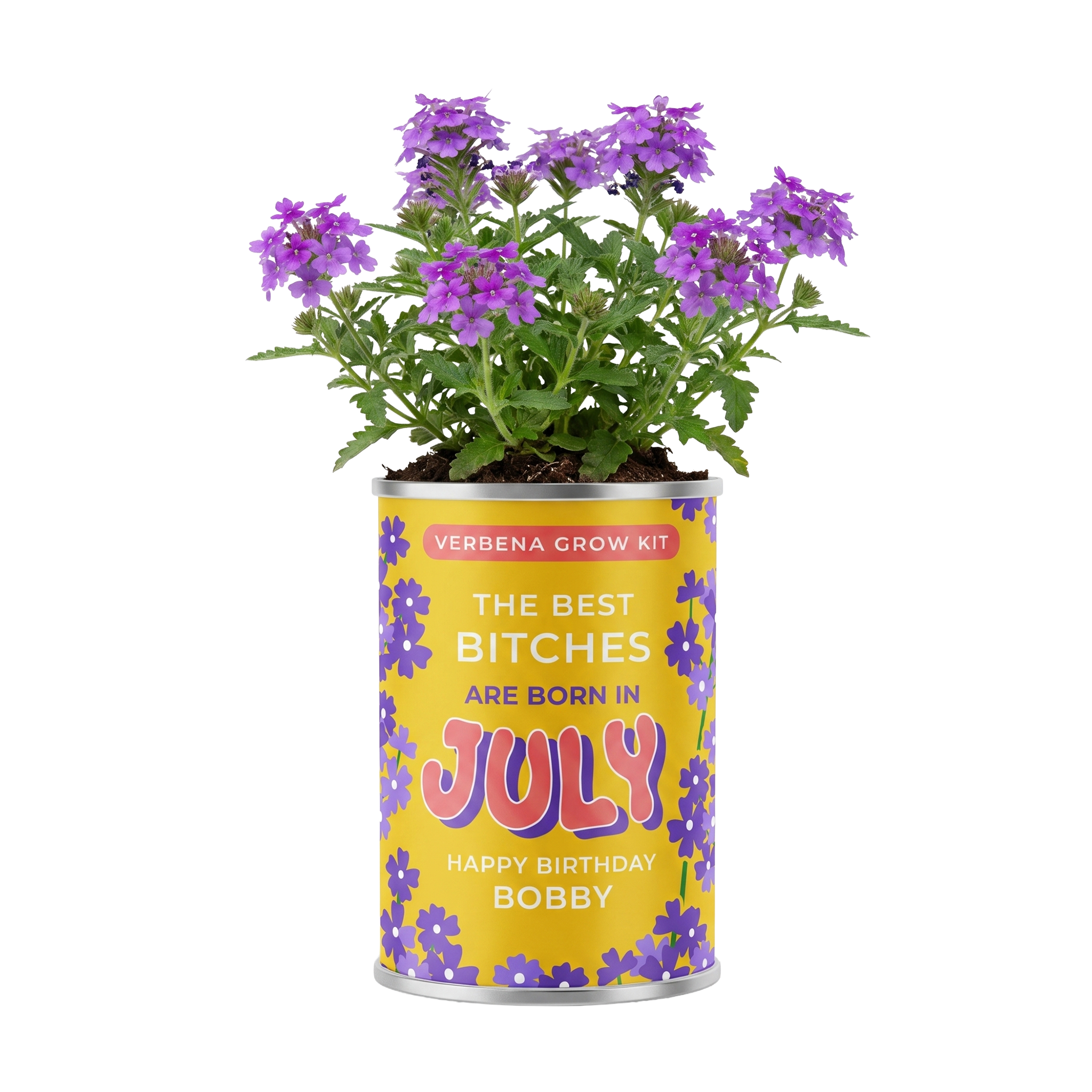 July Birth Flower Grow Your Own Verbena Flower Gift Main image