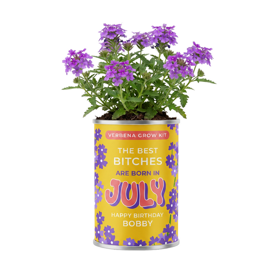July Birth Flower Grow Your Own Verbena Flower Gift