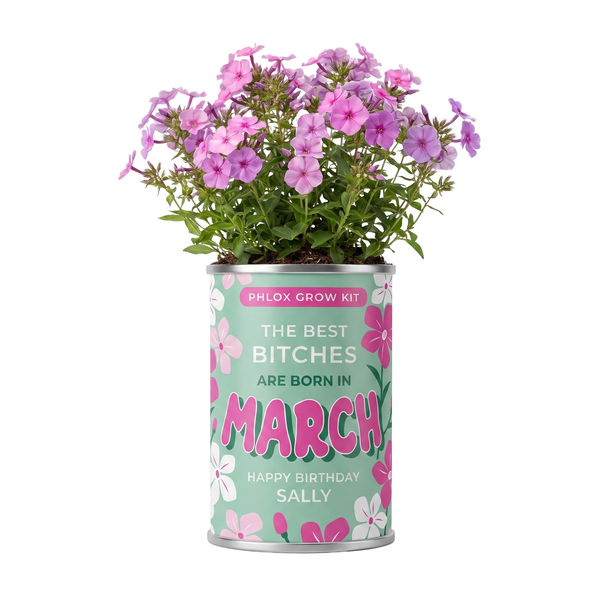 March Birth Flower Grow Your Own Phlox Flower Gift Main image