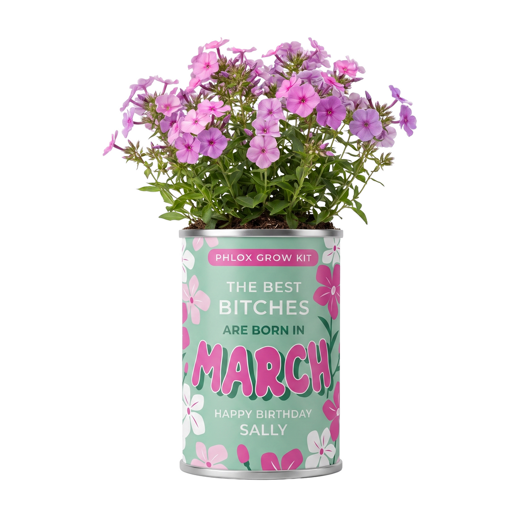 March Birth Flower Grow Your Own Phlox Flower Gift