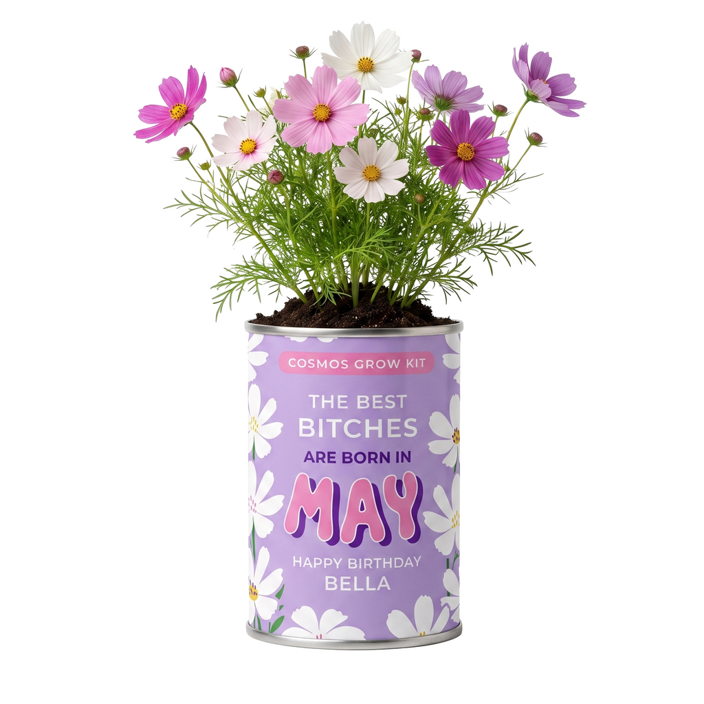 May Birth Flower Grow Your Own Cosmos Flower Gift