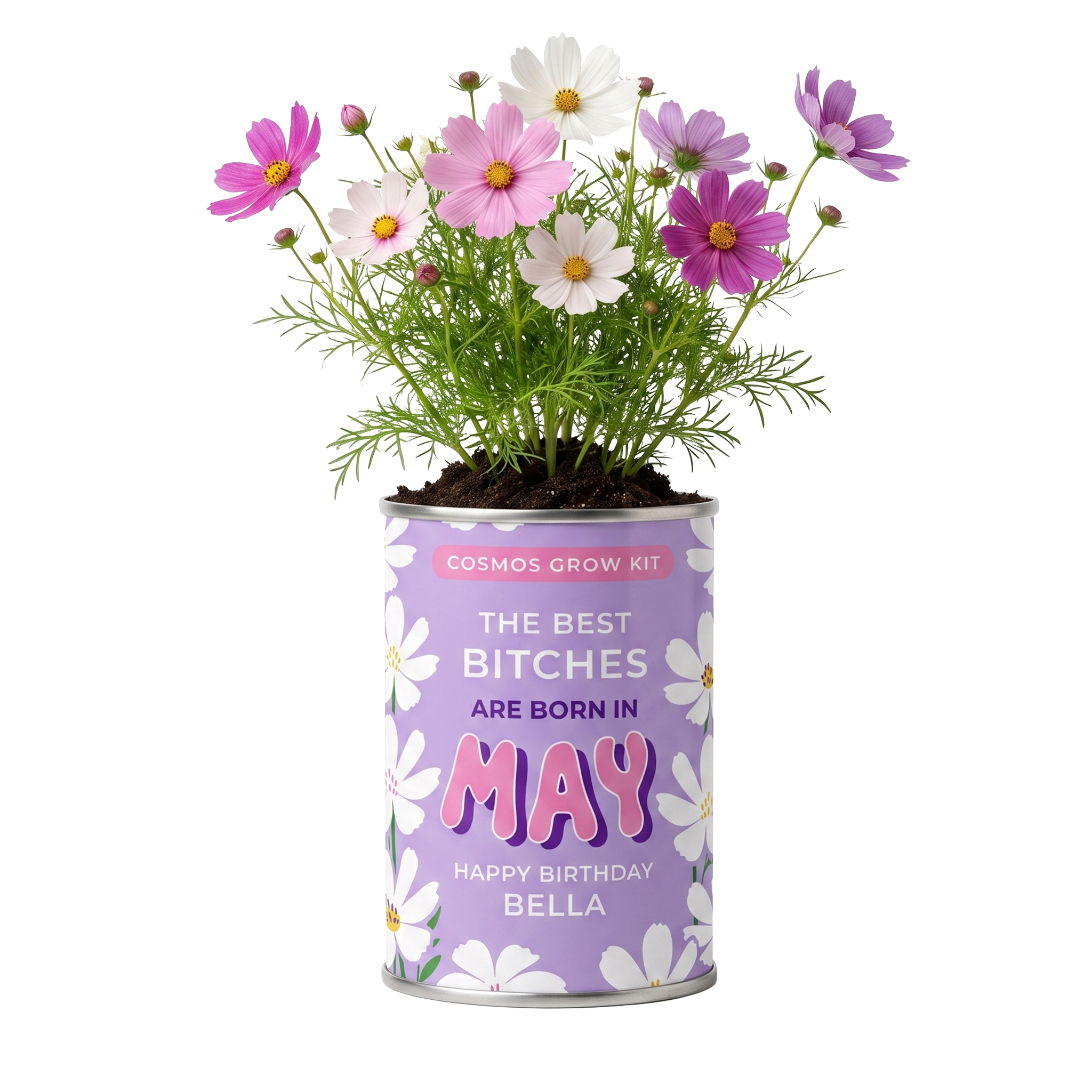 May Birth Flower Grow Your Own Cosmos Flower Gift