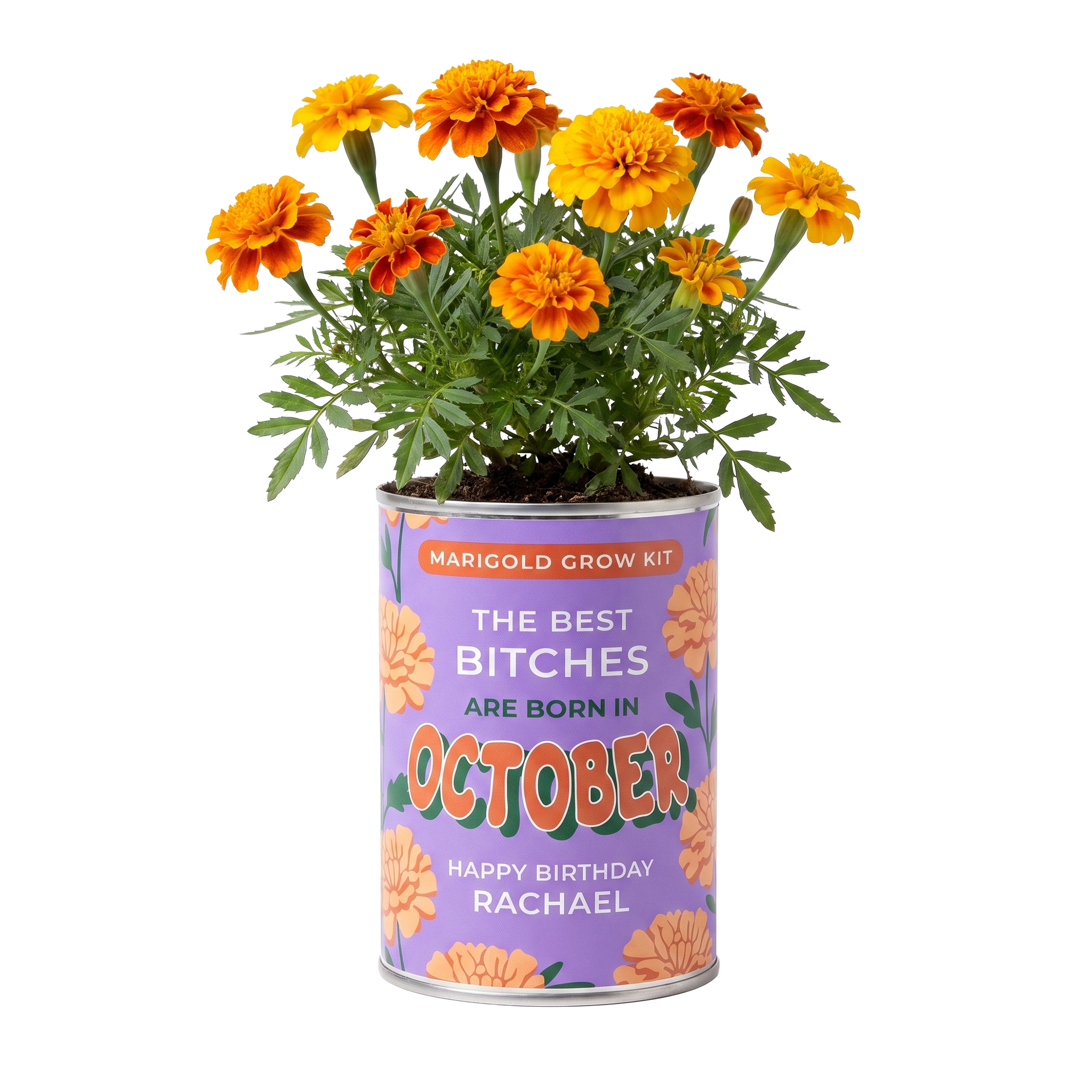 October Birth Flower Grow Your Own Marigold Flower Gift Main image