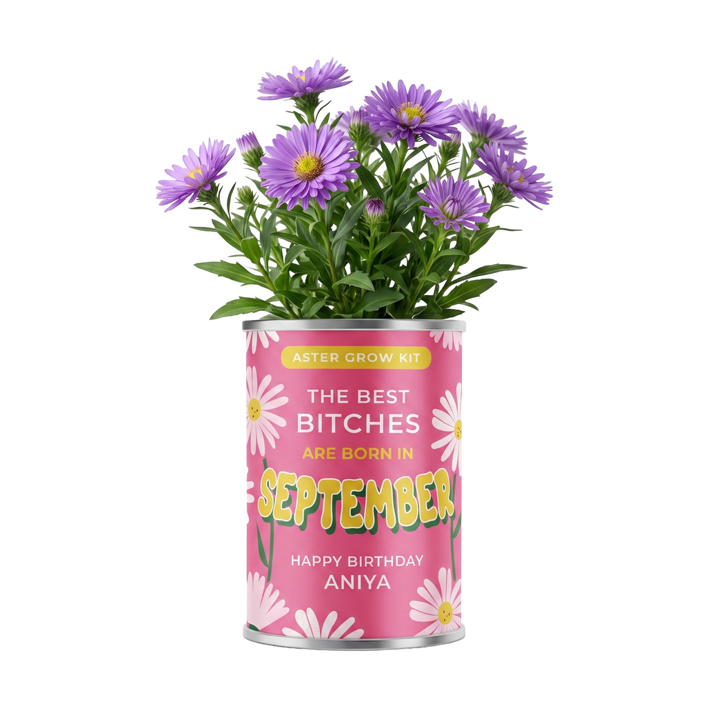 September Birth Flower Grow Your Own Aster Flower Gift