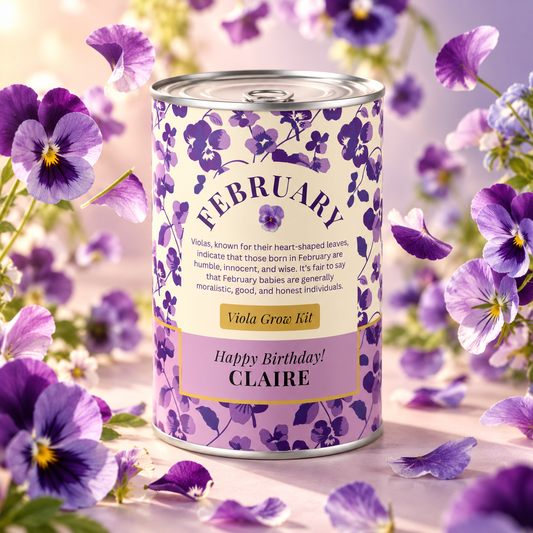 February Birth Flower - Personalised Grow Your Own Flower Gift