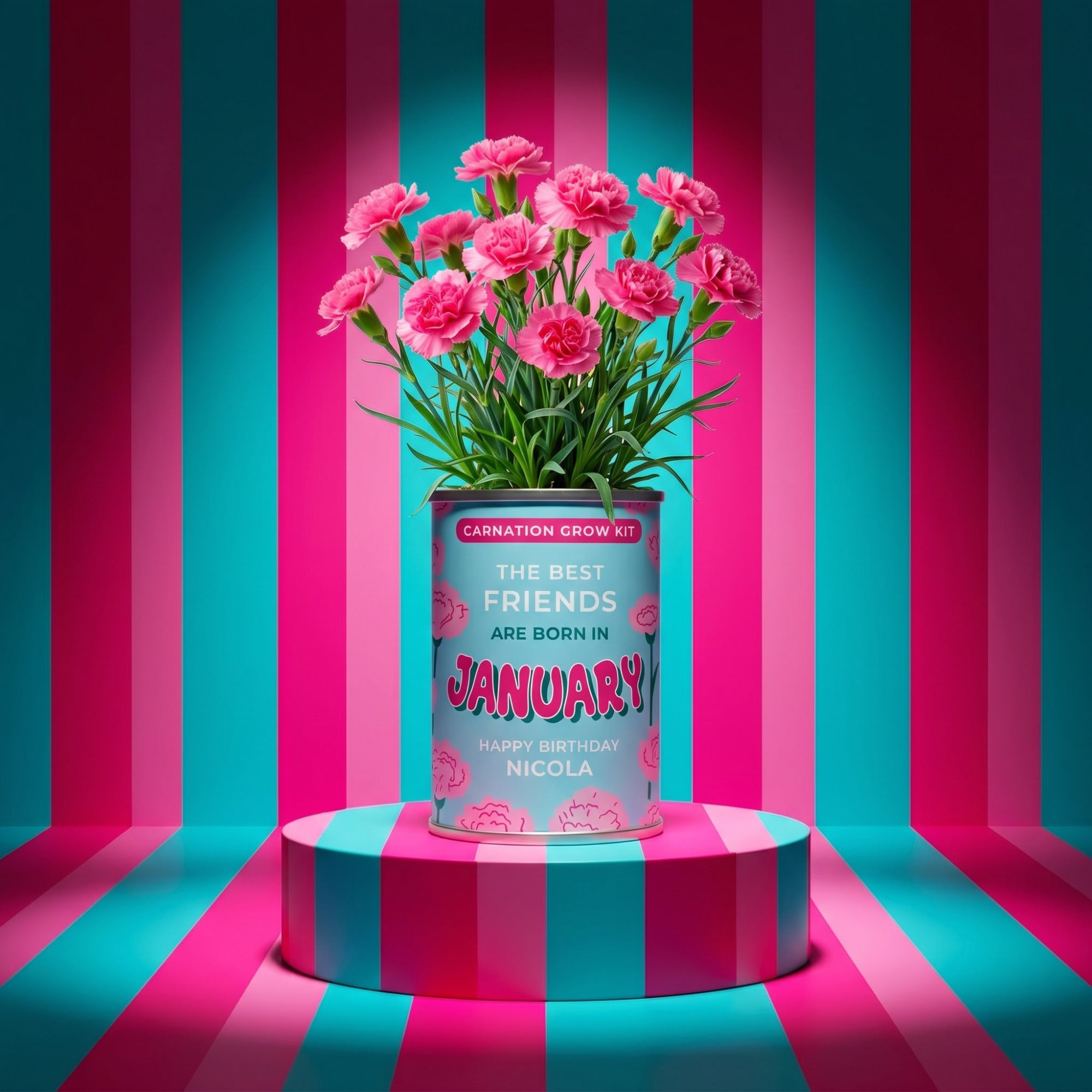 January Birth Flower Grow Your Own Carnation Flower Gift Secondary image