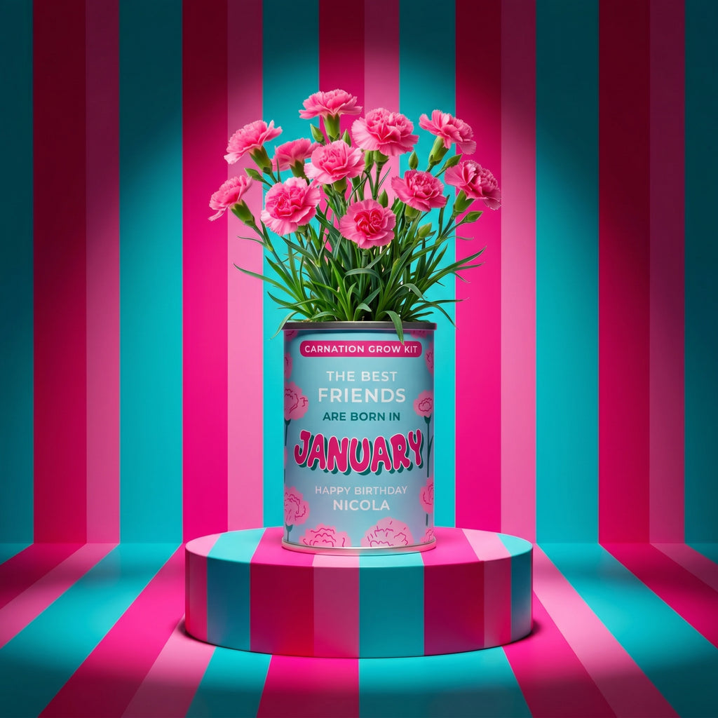 January Birth Flower Grow Your Own Carnation Flower Gift