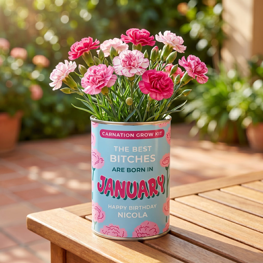 January Birth Flower Grow Your Own Carnation Flower Gift