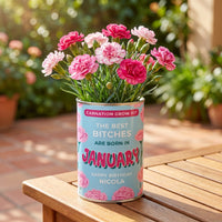 January Birth Flower Grow Your Own Carnation Flower Gift