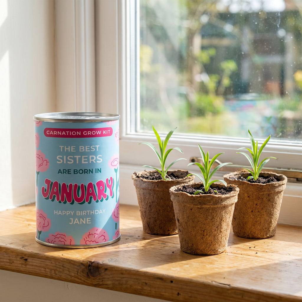 January Birth Flower Grow Your Own Carnation Flower Gift