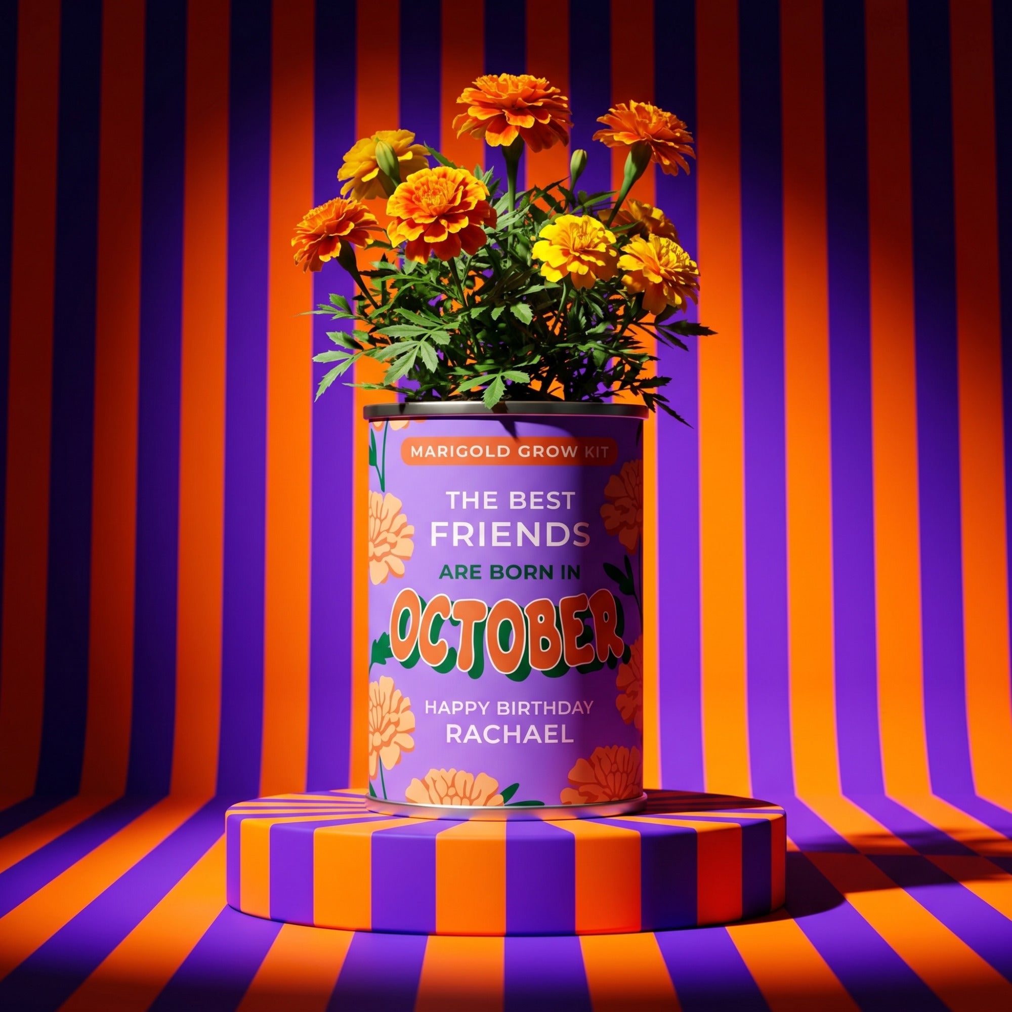 October Birth Flower Grow Your Own Marigold Flower Gift Secondary image
