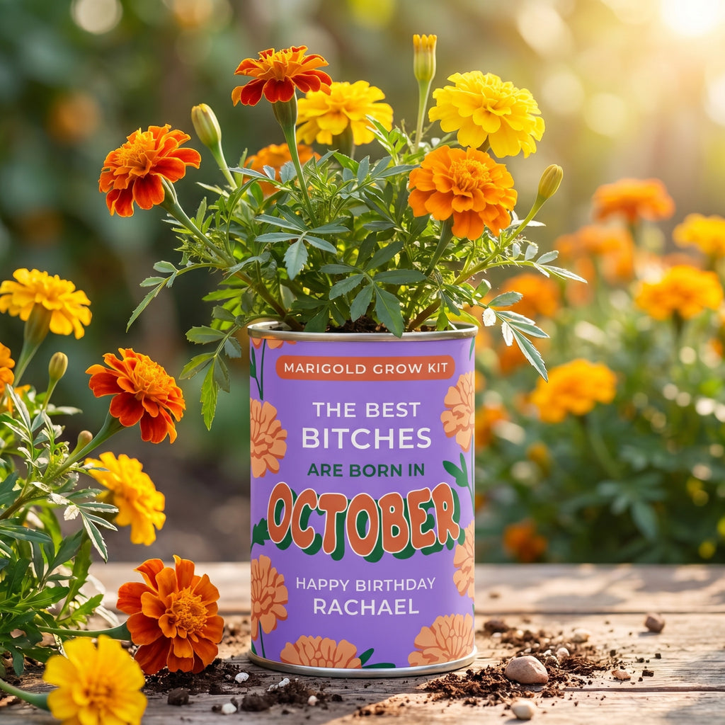October Birth Flower Grow Your Own Marigold Flower Gift