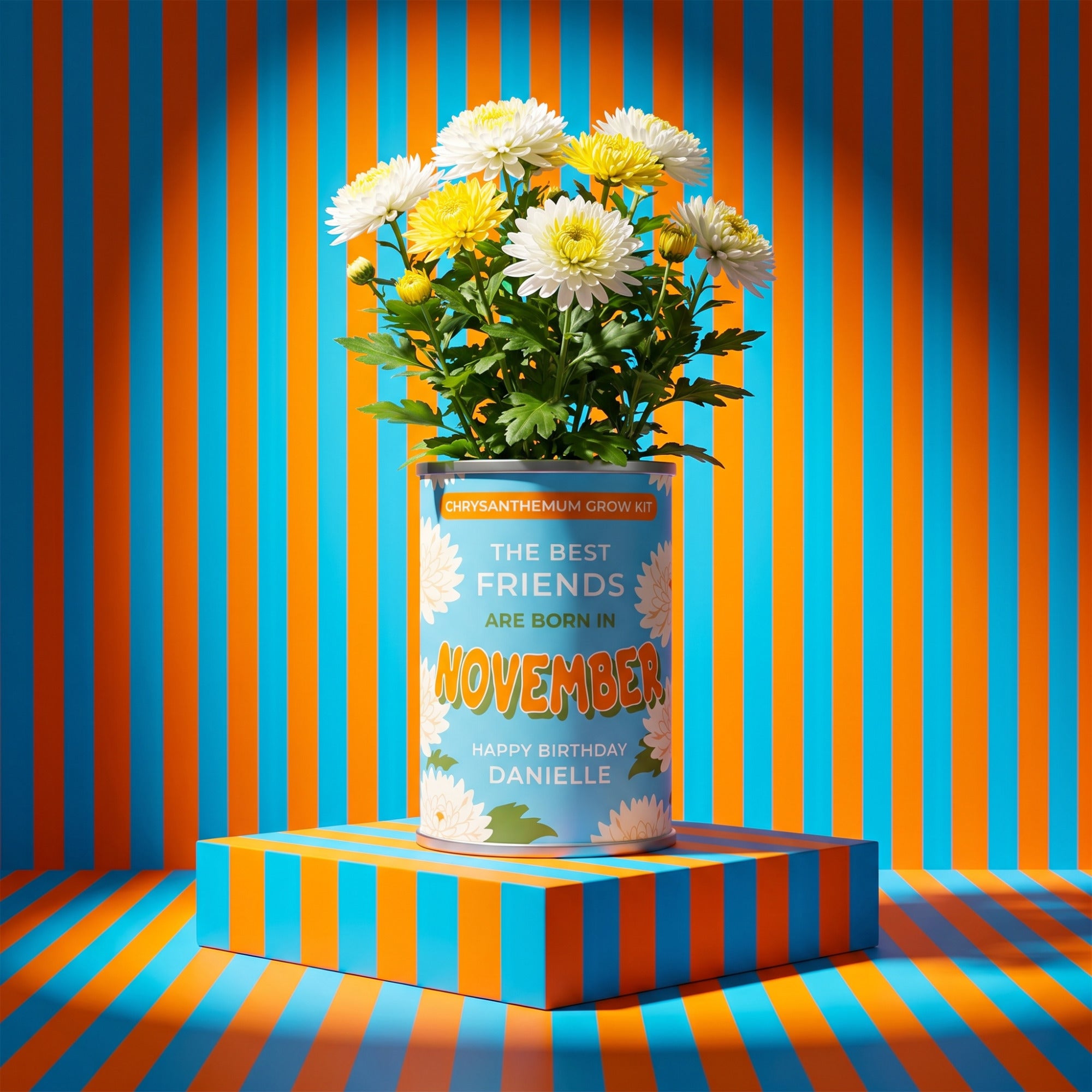 November Birth Flower Grow Your Own Chrysanthemum Flower Gift Secondary image