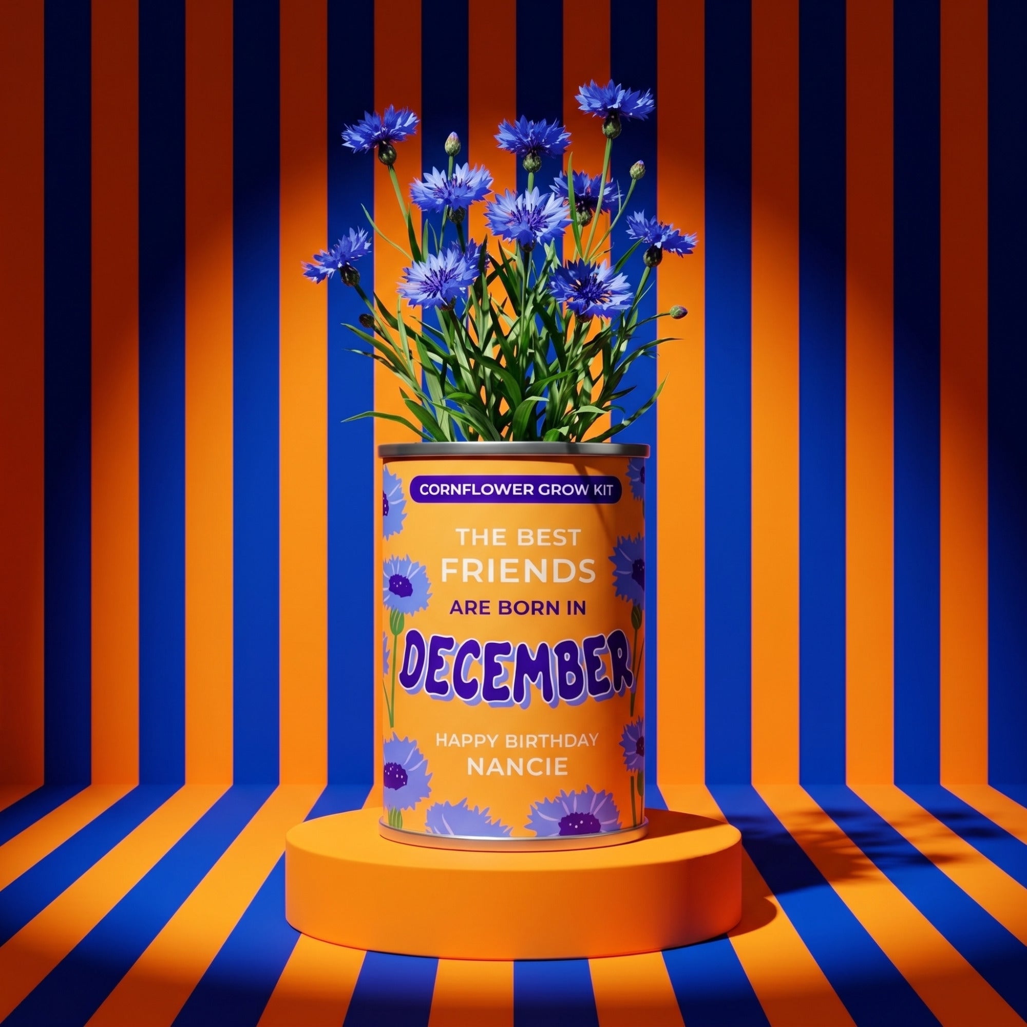 December Birth Flower Grow Your Own Cornflower Flower Gift Secondary image