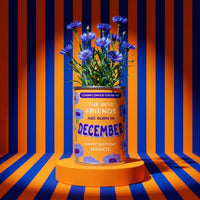 December Birth Flower Grow Your Own Cornflower Flower Gift