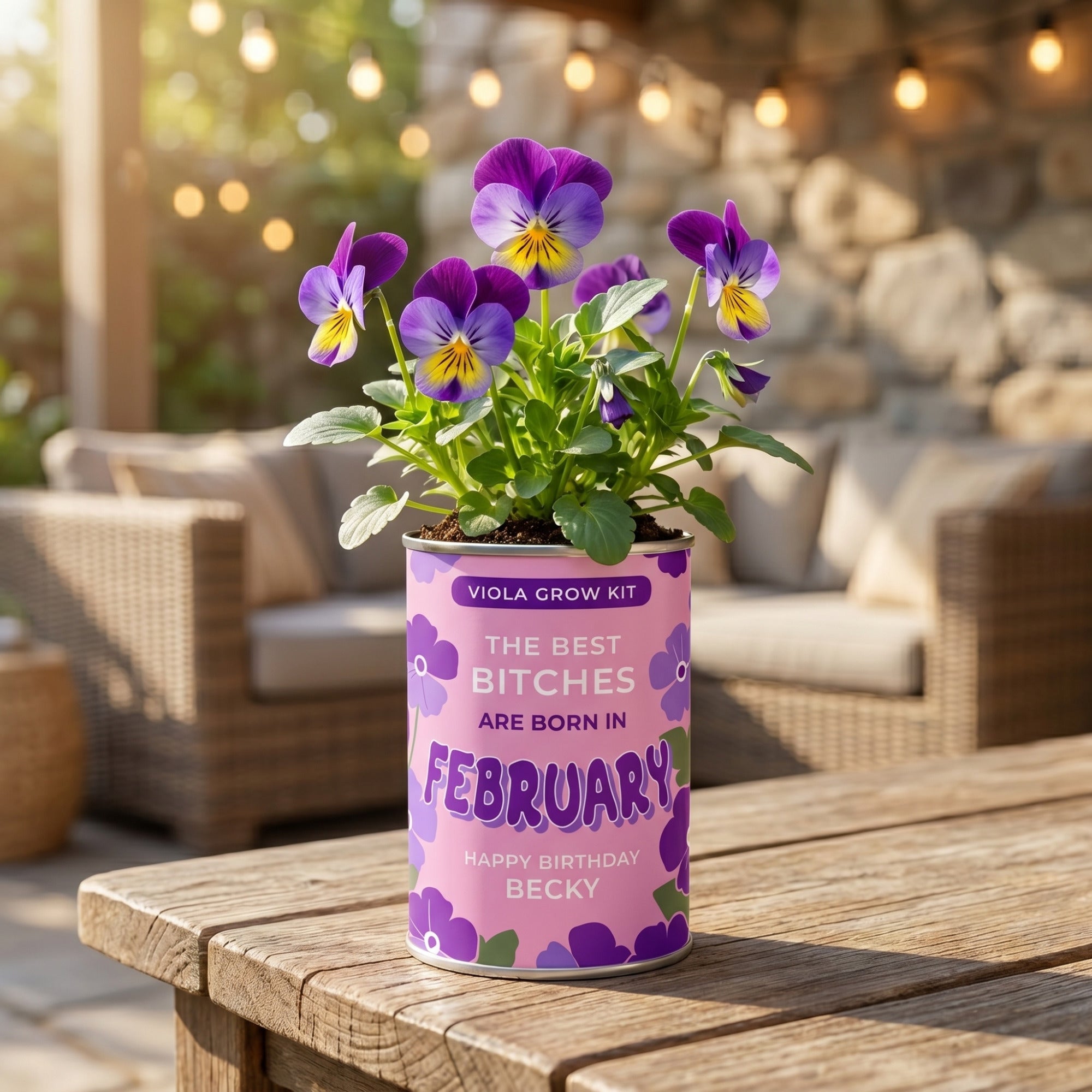 February Birth Flower Grow Your Own Viola Flower Gift