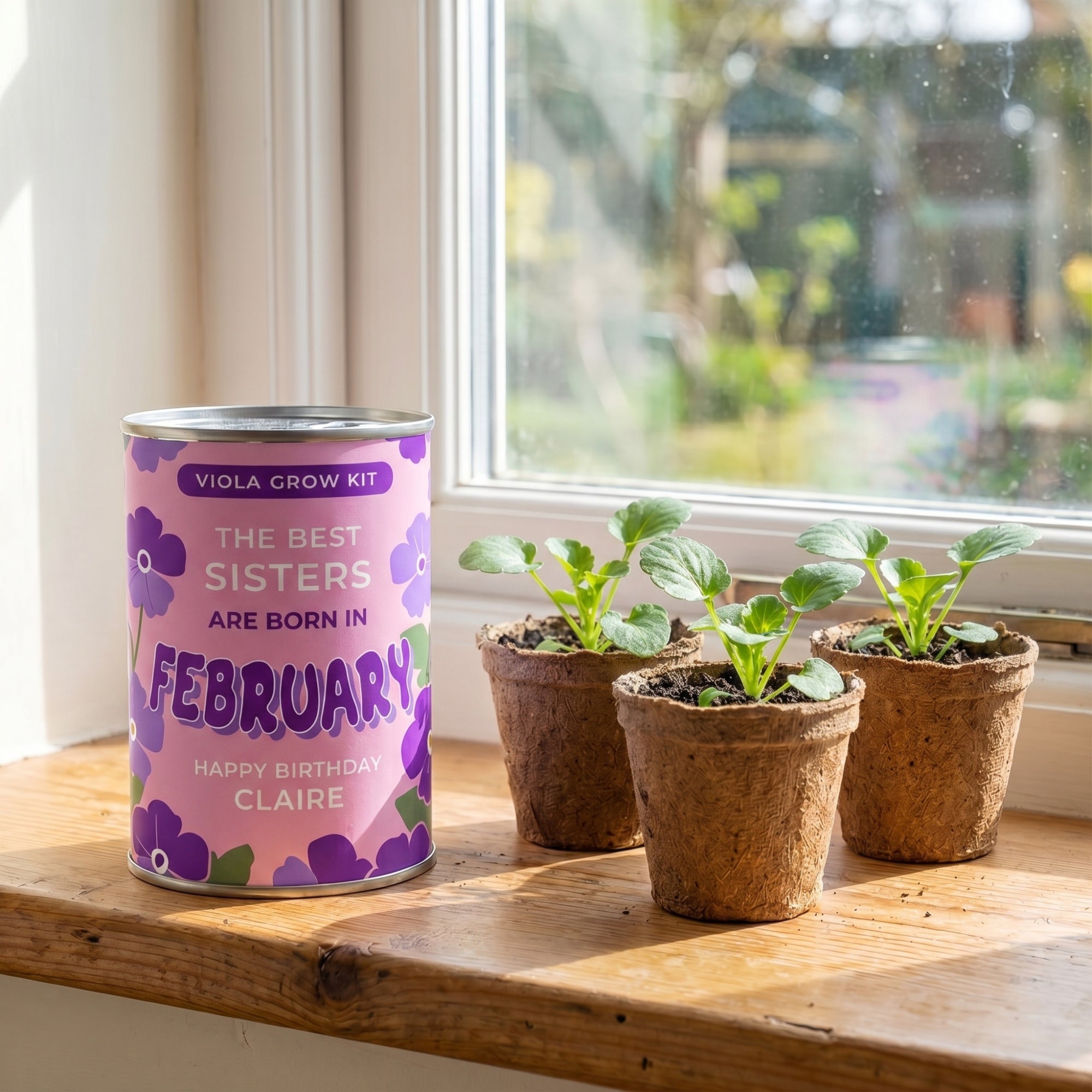 February Birth Flower Grow Your Own Viola Flower Gift