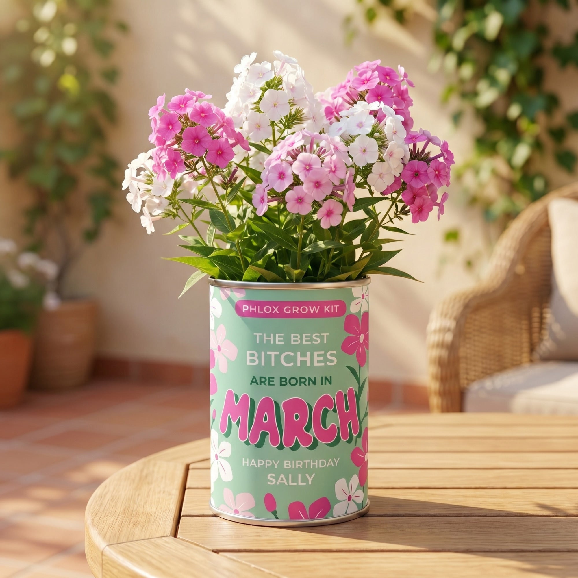 March Birth Flower Grow Your Own Phlox Flower Gift