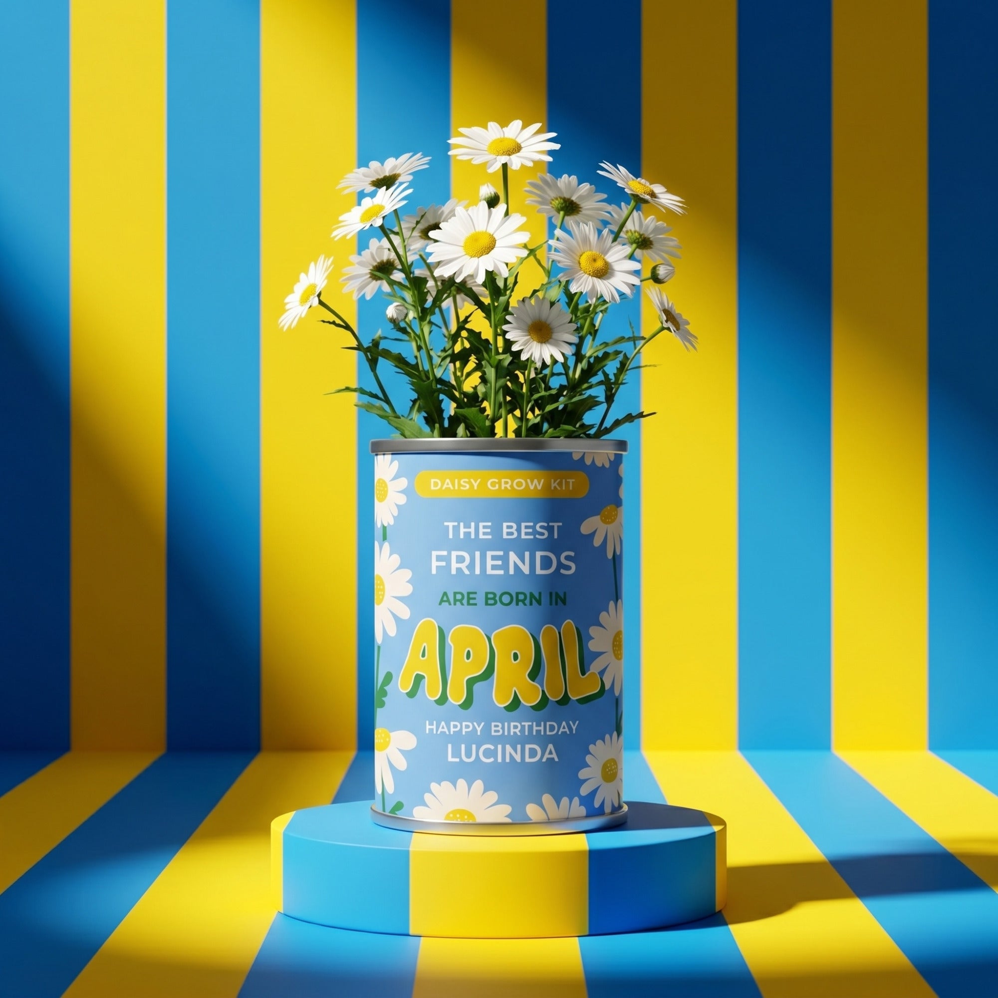 April Birth Flower Grow Your Own Daisy Flower Gift Secondary image