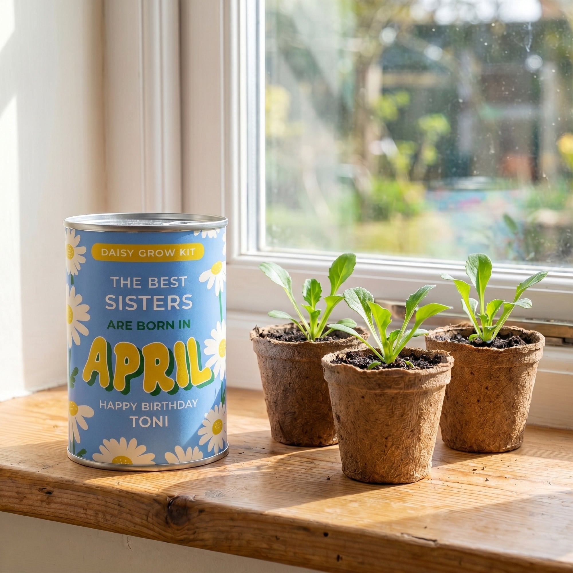 April Birth Flower Grow Your Own Daisy Flower Gift