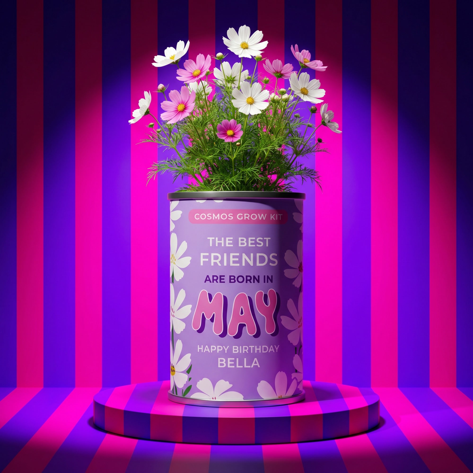 May Birth Flower Grow Your Own Cosmos Flower Gift Secondary image