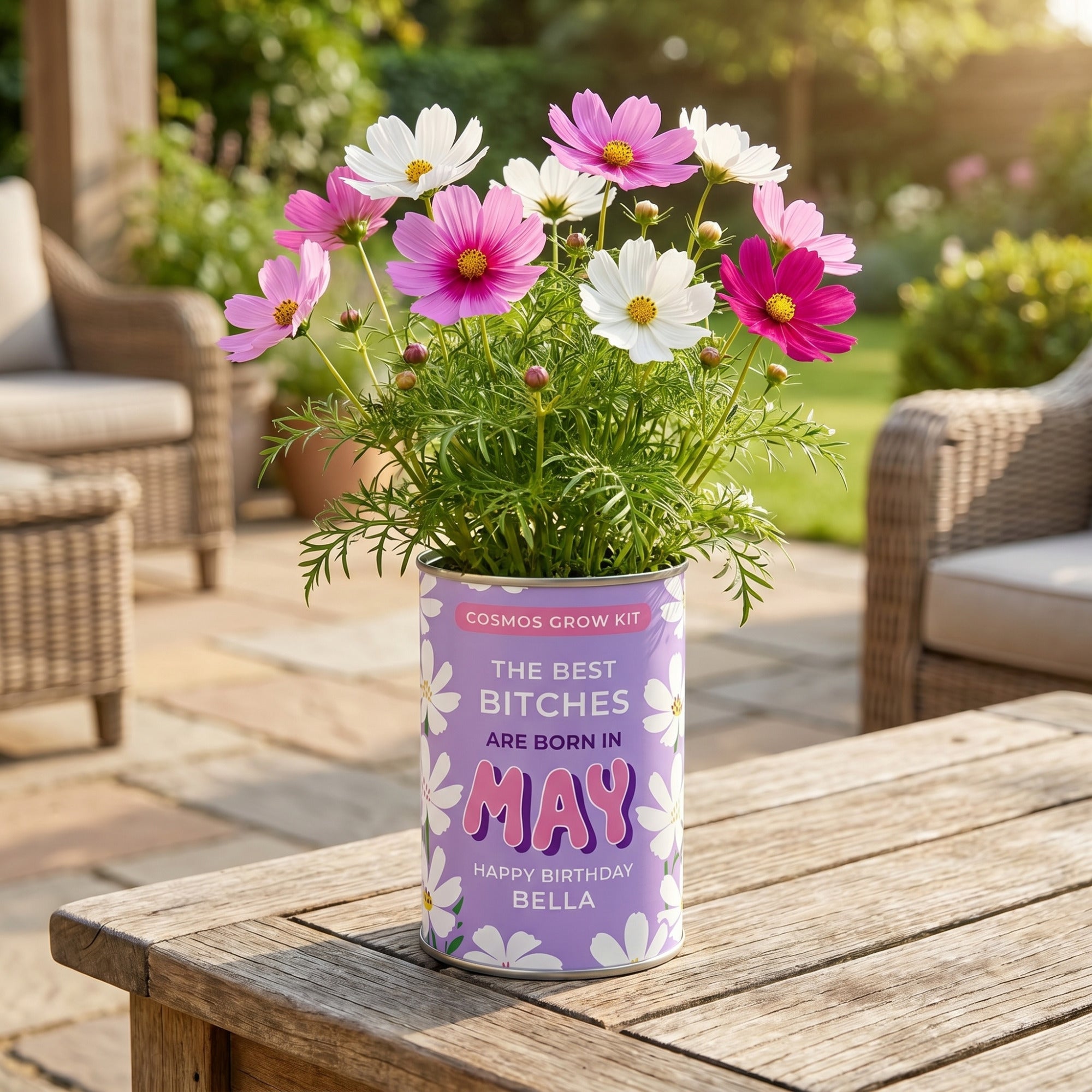 May Birth Flower Grow Your Own Cosmos Flower Gift