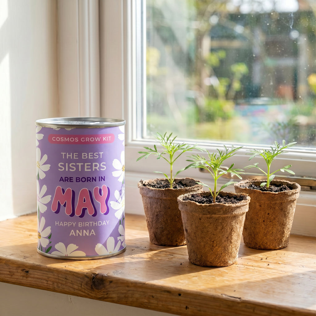 May Birth Flower Grow Your Own Cosmos Flower Gift