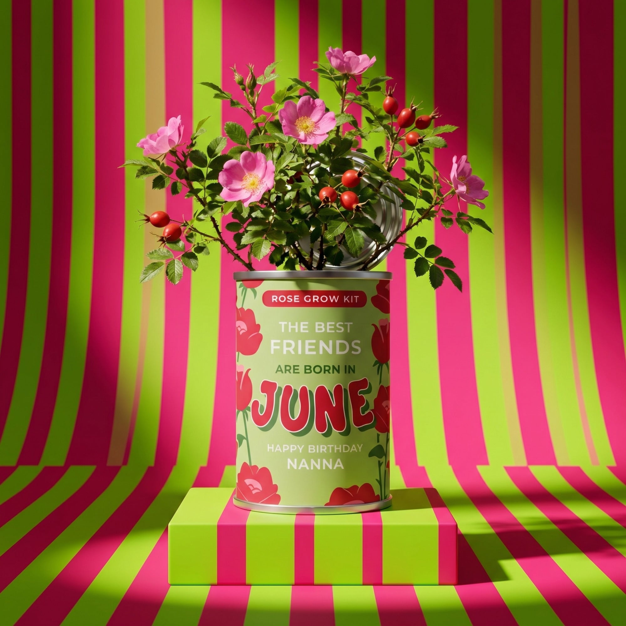 June Birth Flower Grow Your Own Rose Flower Gift Secondary image