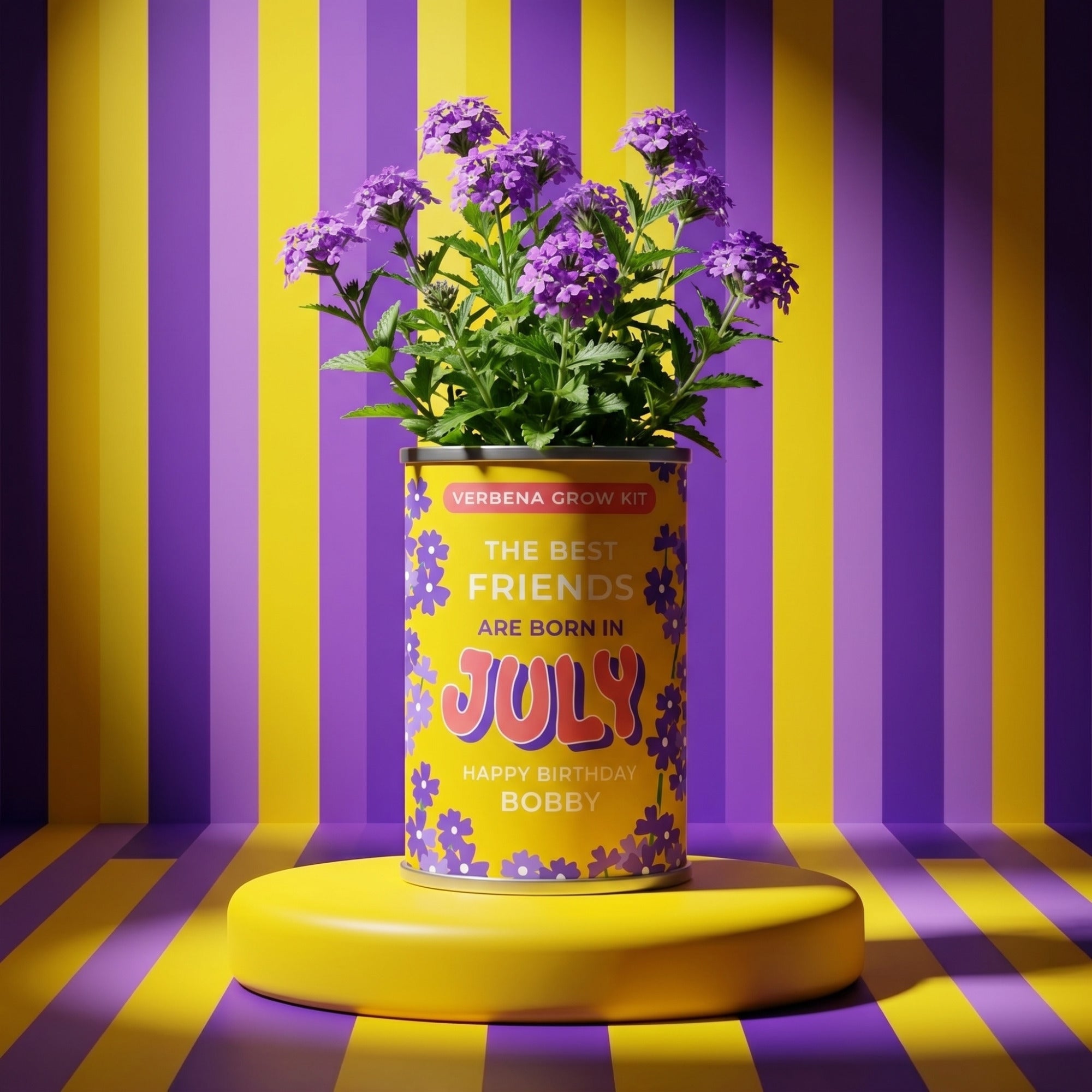 July Birth Flower Grow Your Own Verbena Flower Gift Secondary image