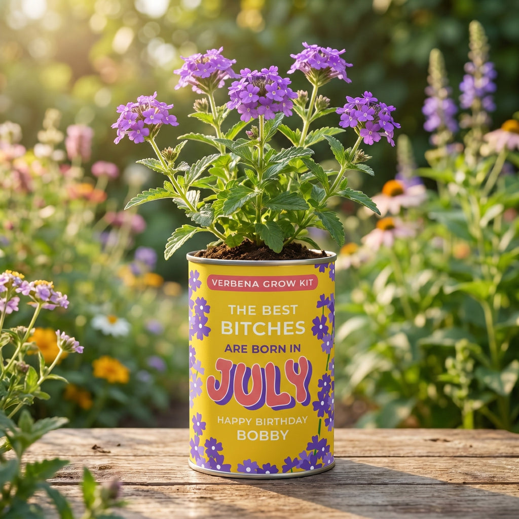 July Birth Flower Grow Your Own Verbena Flower Gift